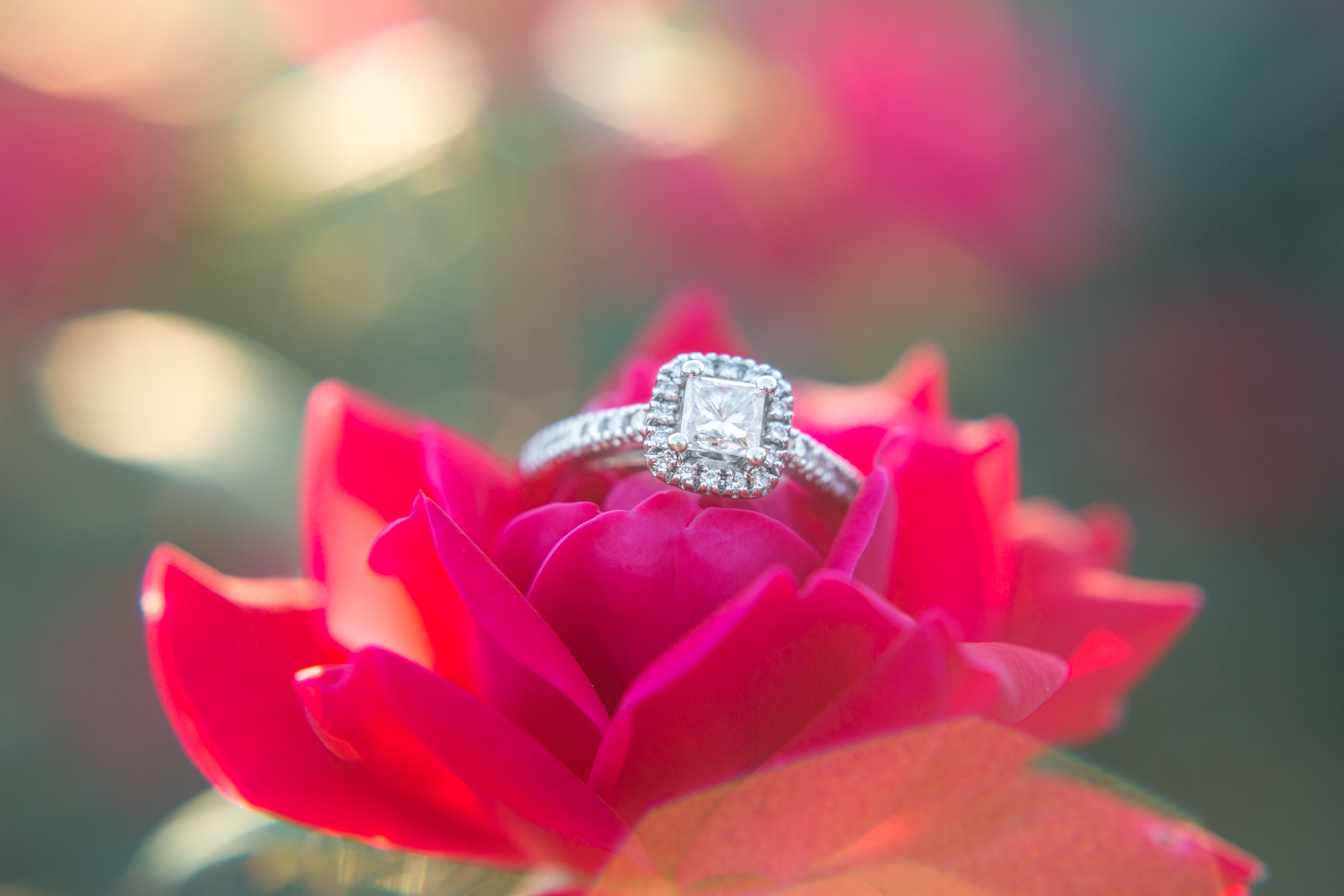 22-joyner-park-wake-forest-5