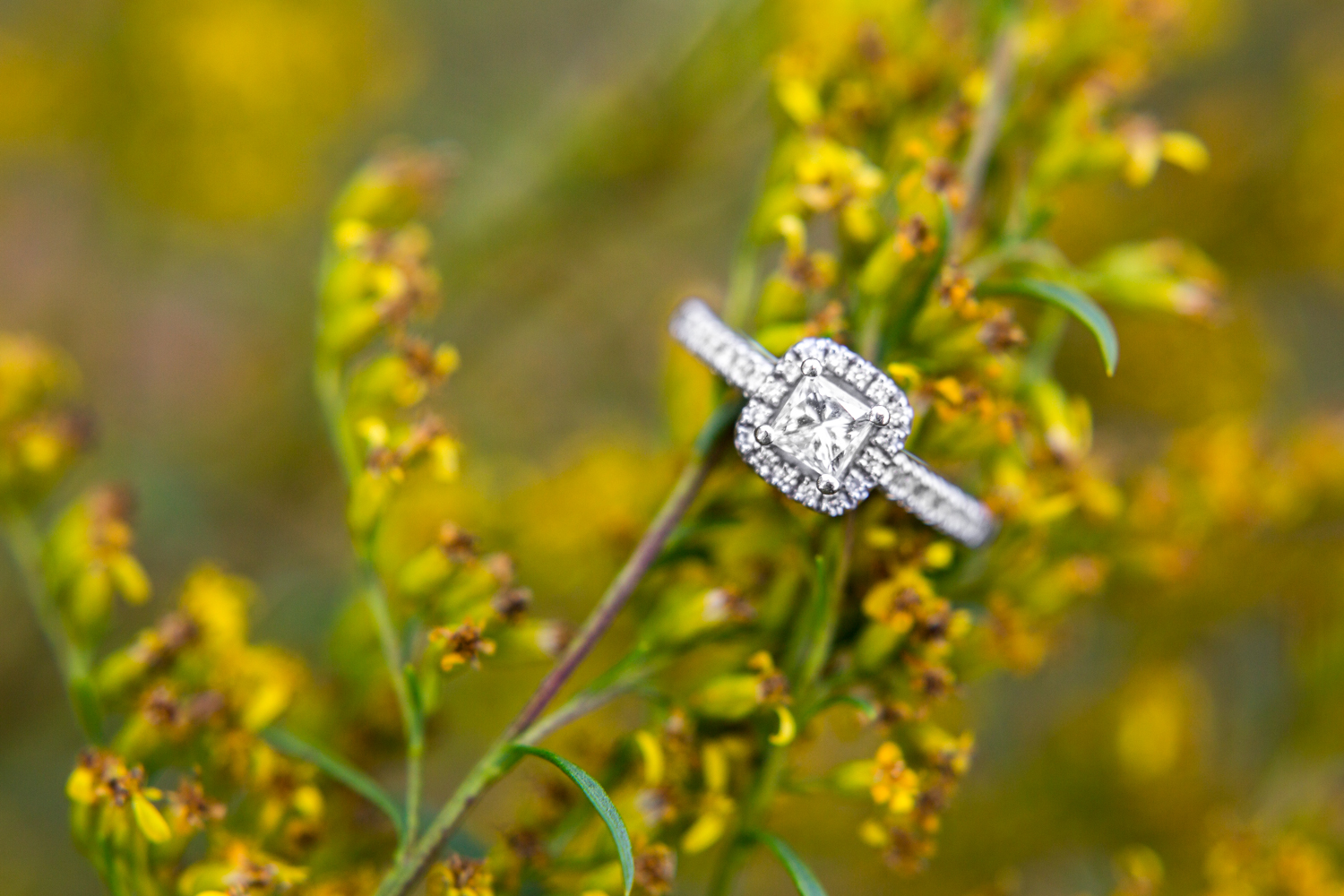 9-joyner-park-wake-forest-2