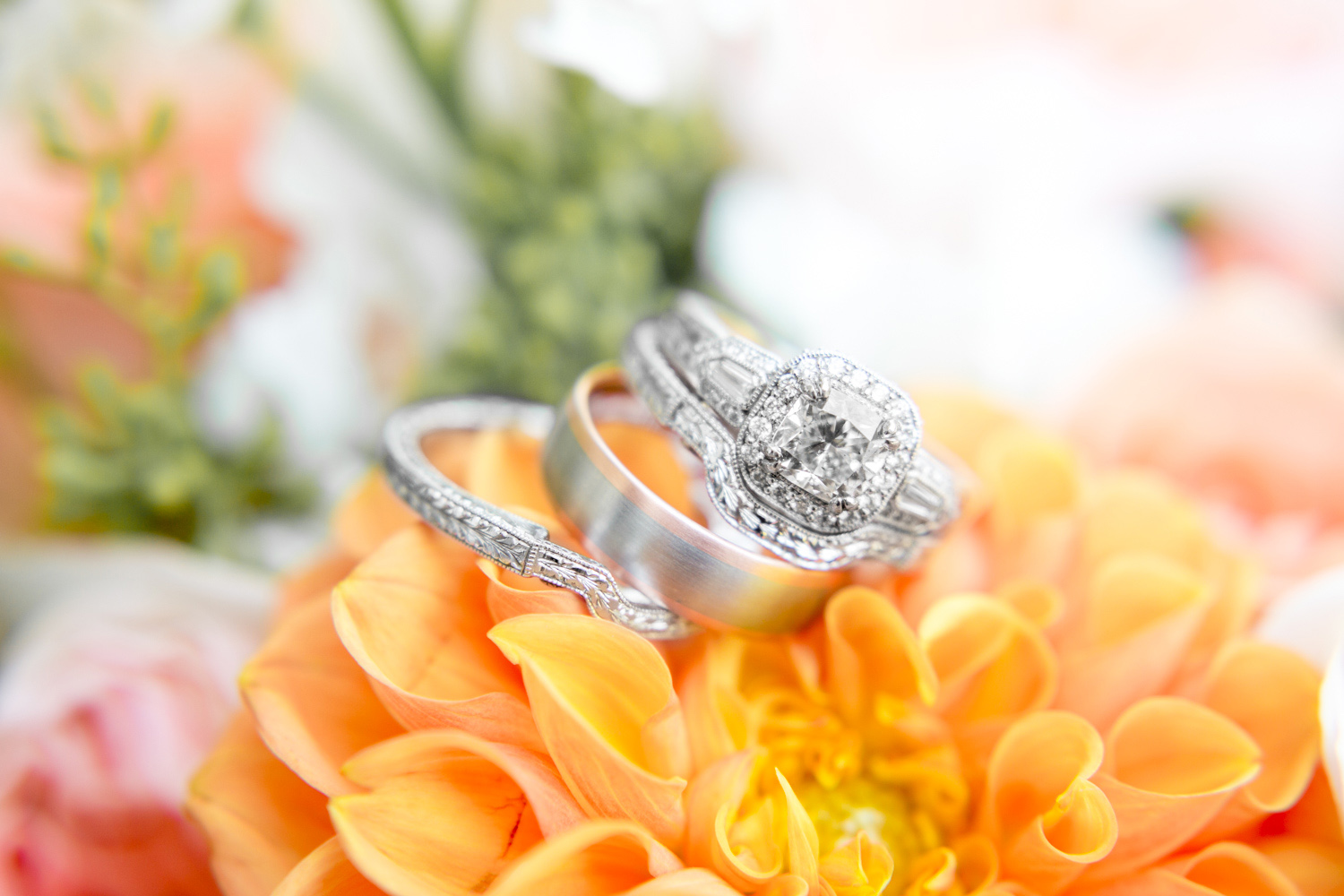 6-rose-hill-plantation-wedding_-57