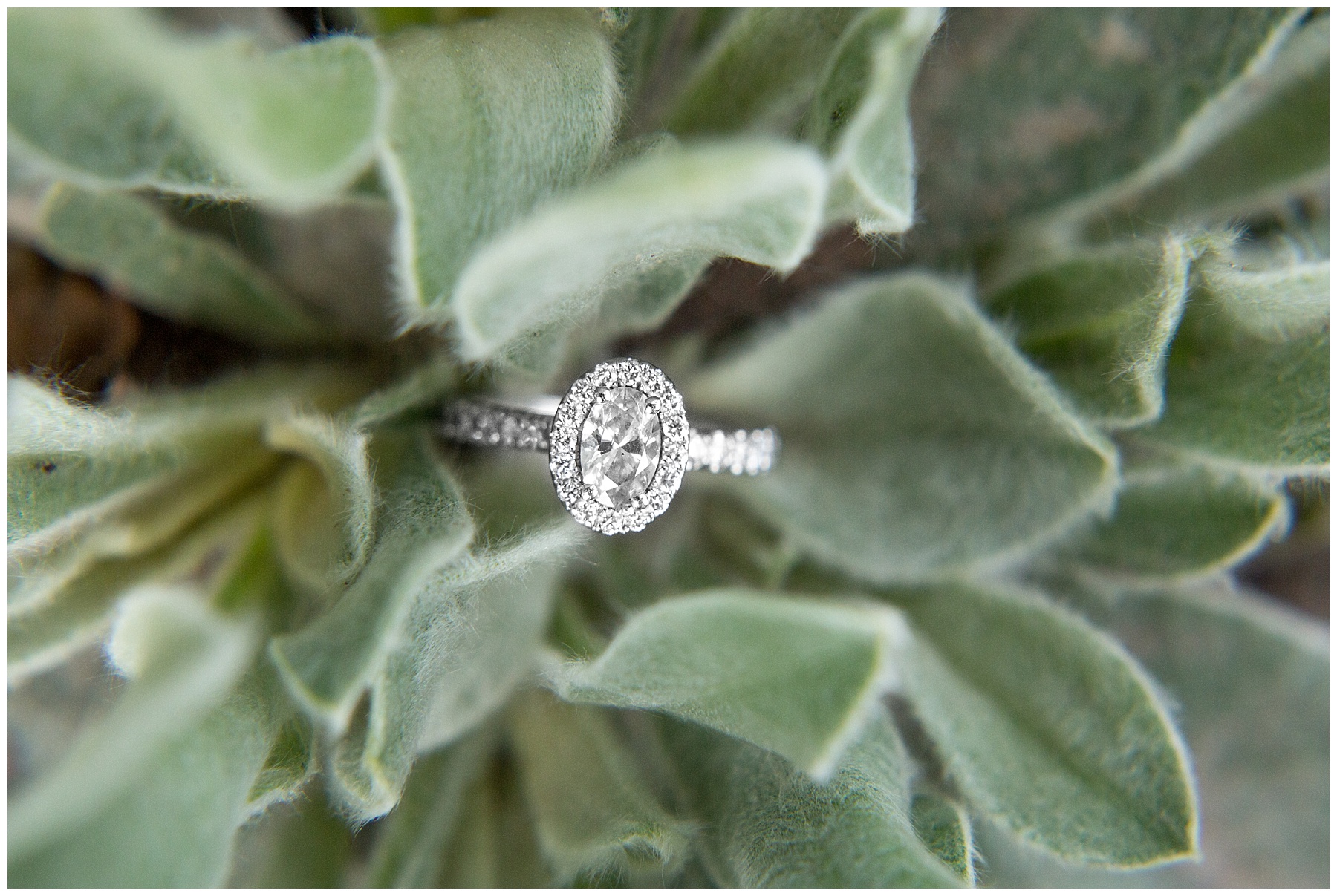 Wilson NC Engagement Session_0001.jpg