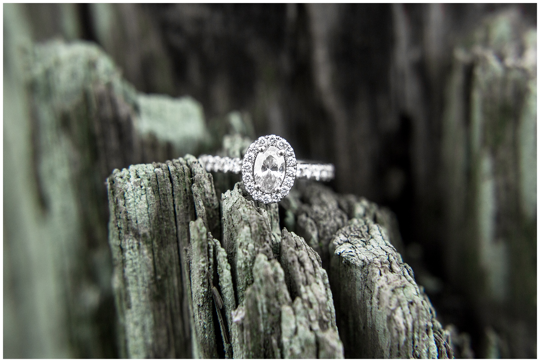 Wilson NC Engagement Session_0004.jpg