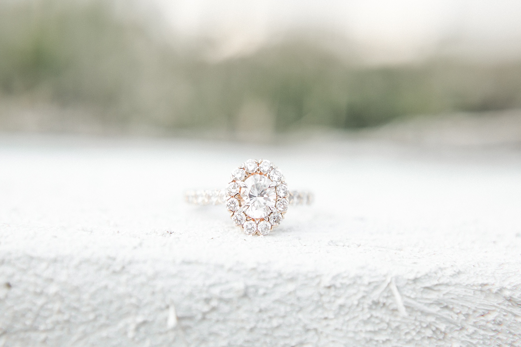 May Lew Farm Farmville NC Engagement Session_0002.jpg