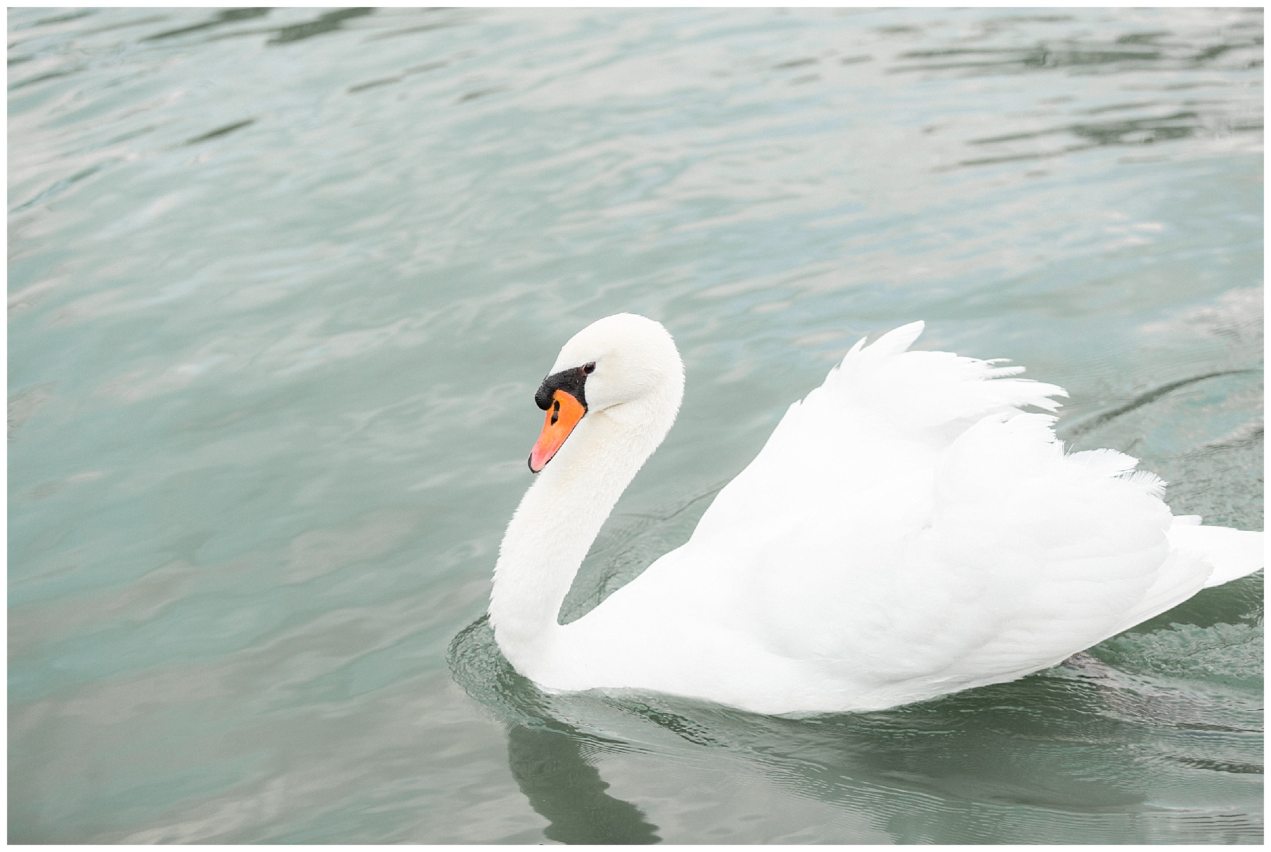 Rose Hill Plantation Bridal Portrait Session Nashville Tiffany L johnson