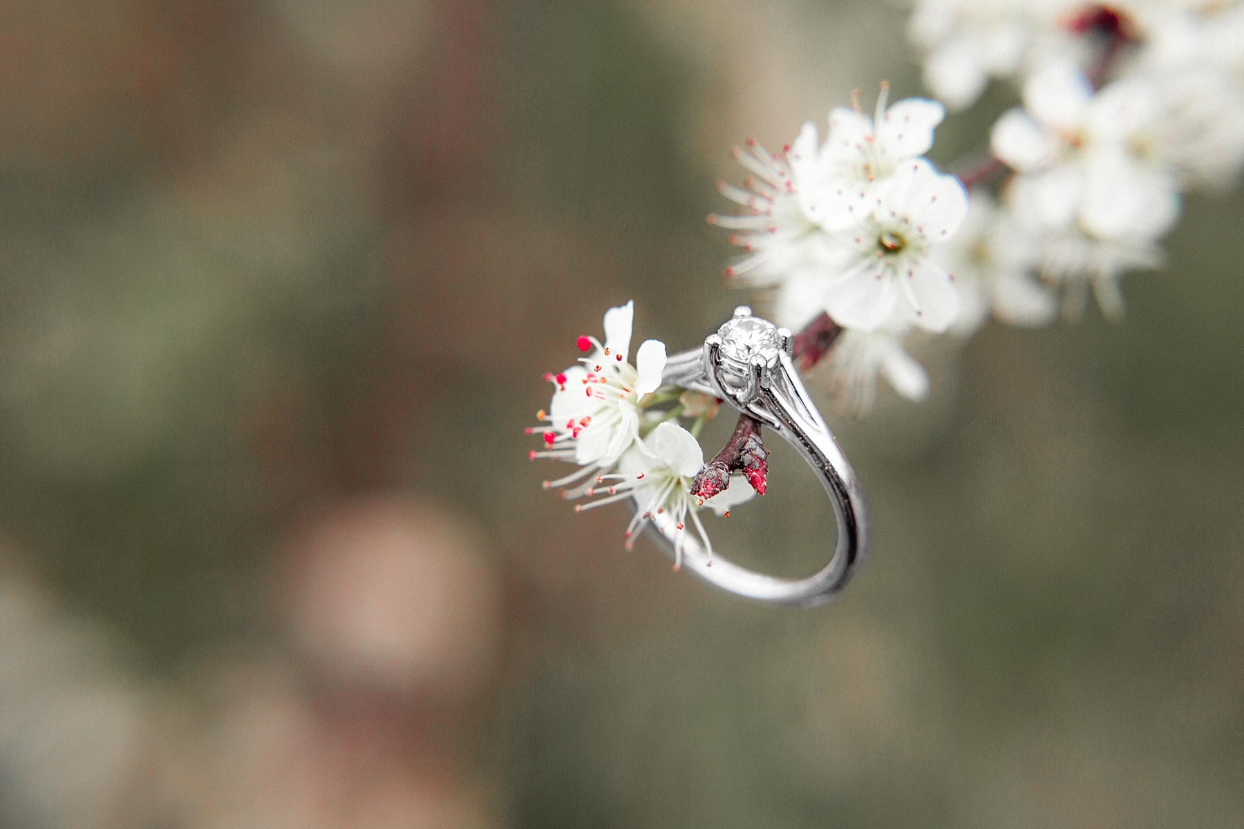 Wilson North Carolina Engagement Session
