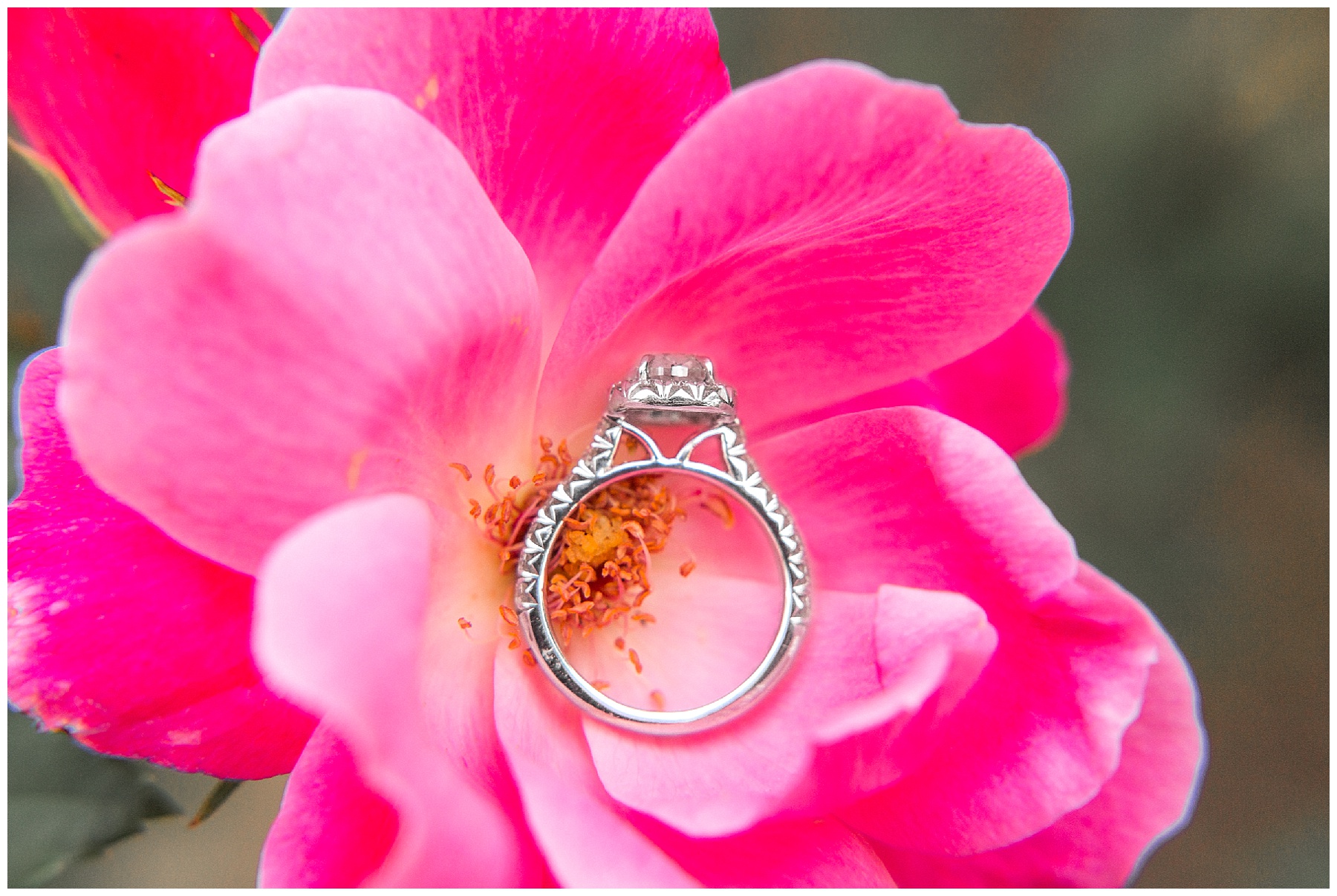 Brookgreen Gardens-South Carolina-Engagement Session-Brookgreen Gardens Engagement Session-Tiffany L Johnson_0002.jpg Brookgreen Gardens-South Carolina-Engagement Session-Brookgreen Gardens Engagement Session-Tiffany L Johnson_0002.jpg