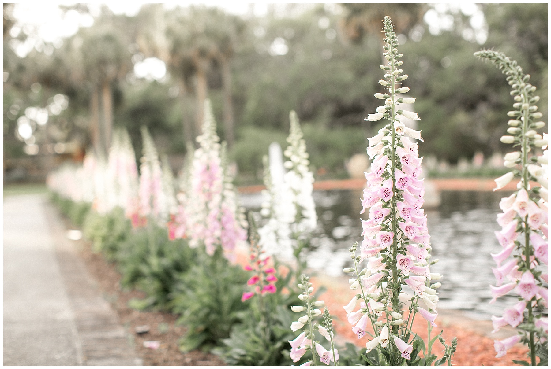 Brookgreen Gardens-South Carolina-Engagement Session-Brookgreen Gardens Engagement Session-Tiffany L Johnson_0016.jpg Brookgreen Gardens-South Carolina-Engagement Session-Brookgreen Gardens Engagement Session-Tiffany L Johnson_0016.jpg