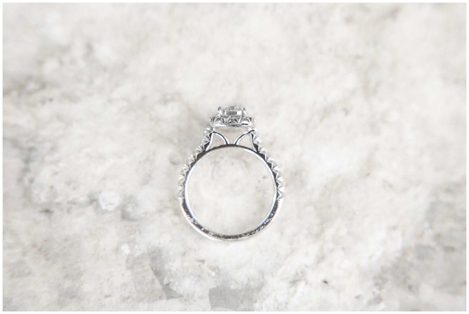 Brookgreen Gardens-South Carolina-Engagement Session-Brookgreen Gardens Engagement Session-Tiffany L Johnson_0026.jpg Brookgreen Gardens-South Carolina-Engagement Session-Brookgreen Gardens Engagement Session-Tiffany L Johnson_0026.jpg