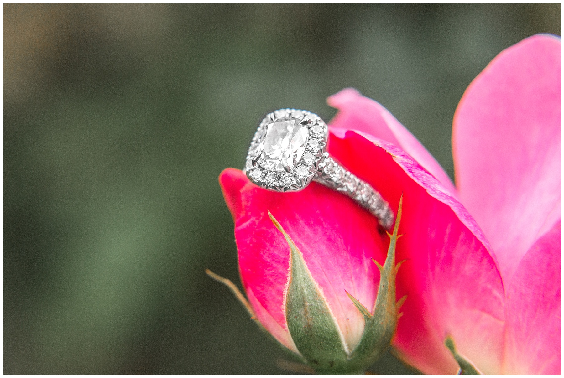 Brookgreen Gardens-South Carolina-Engagement Session-Brookgreen Gardens Engagement Session-Tiffany L Johnson_0048.jpg Brookgreen Gardens-South Carolina-Engagement Session-Brookgreen Gardens Engagement Session-Tiffany L Johnson_0048.jpg