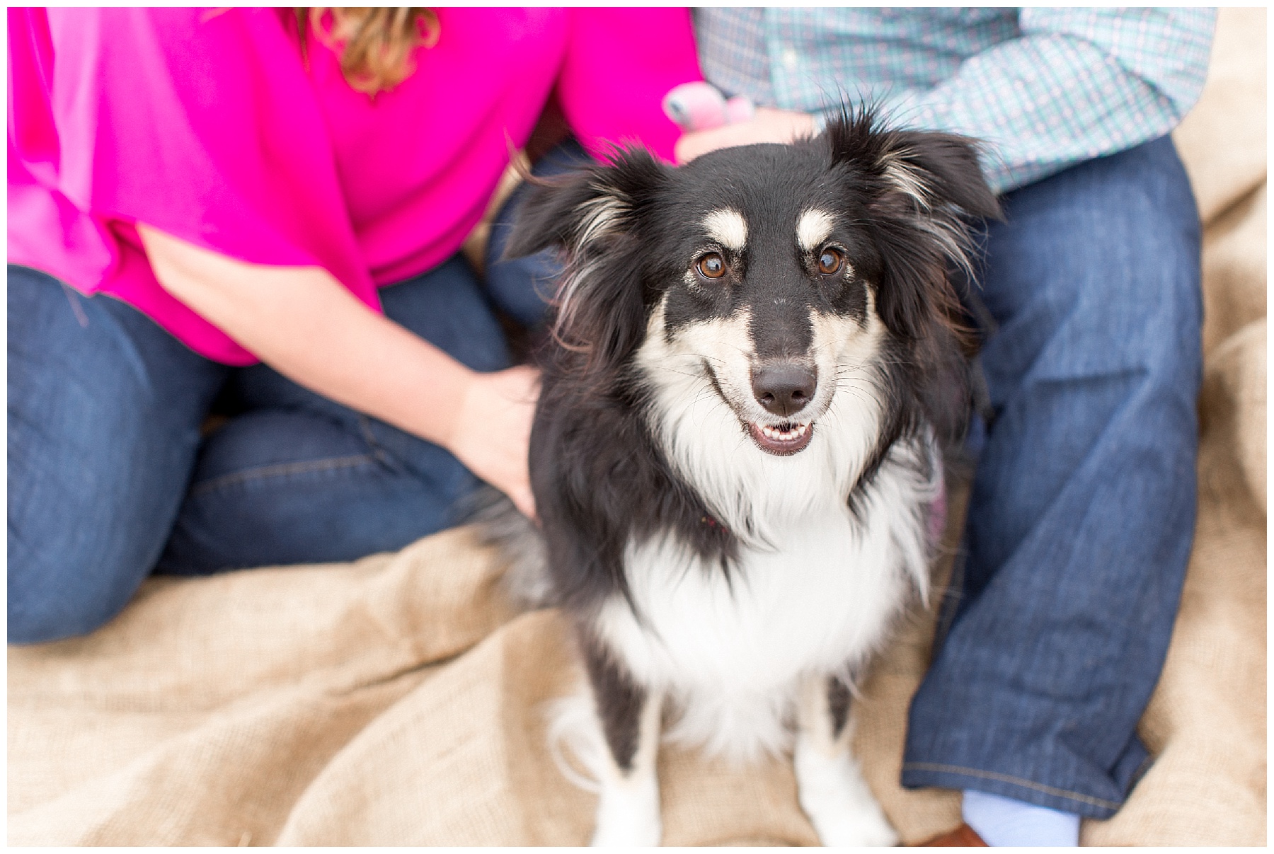 Engagement Sesison Wilson NC Tiffany L Johnson Photography_0006.jpg Engagement Sesison Wilson NC Tiffany L Johnson Photography_0006.jpg