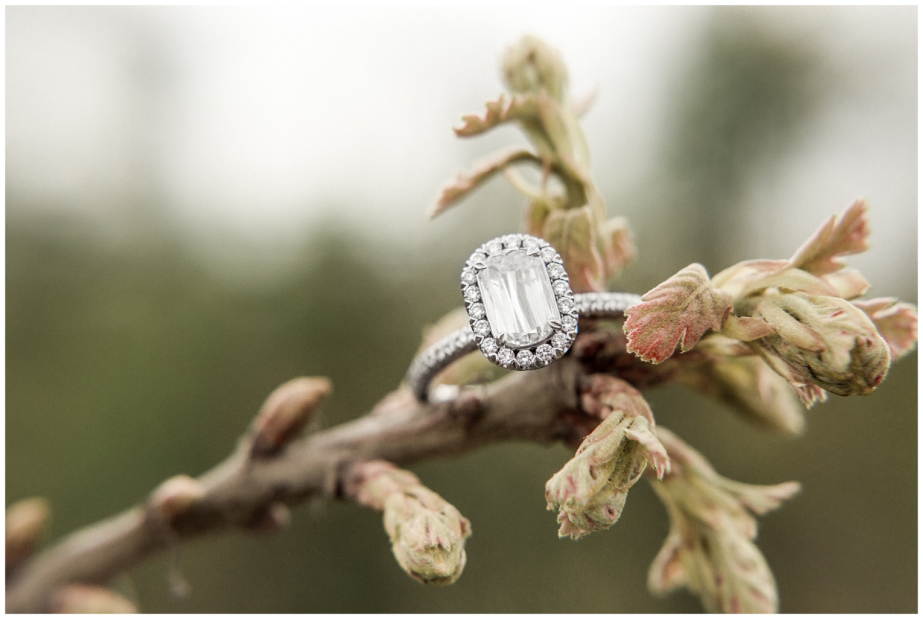 Engagement Sesison Wilson NC Tiffany L Johnson Photography_0019.jpg Engagement Sesison Wilson NC Tiffany L Johnson Photography_0019.jpg