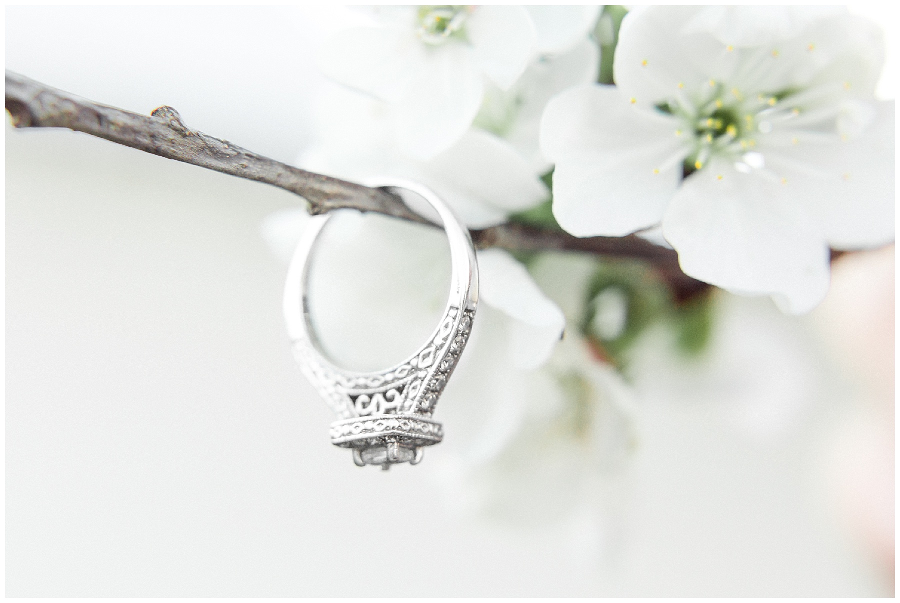 Historic Oak Engagement Session Raleigh NC Tiffany L Johnson