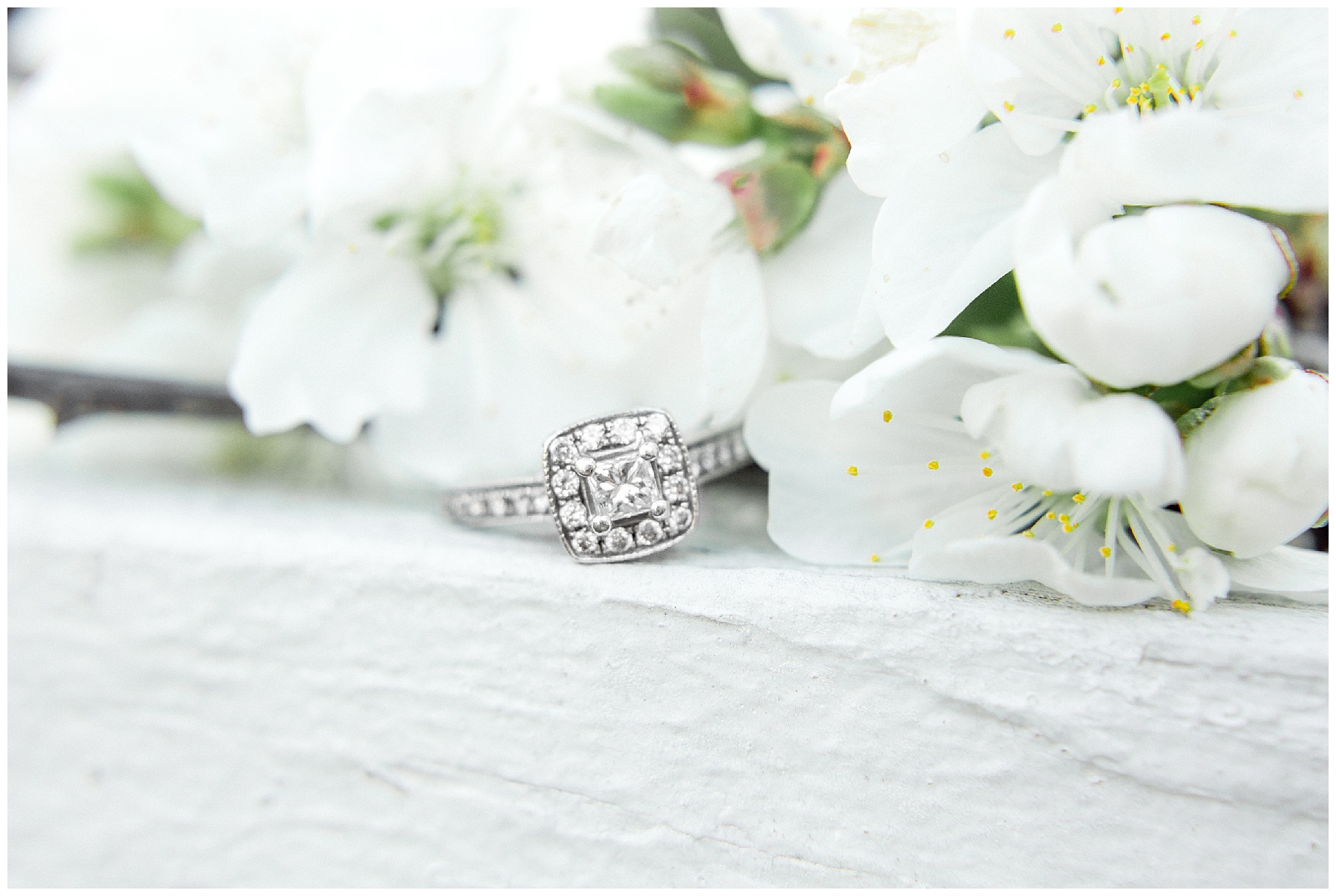 Historic Oak Engagement Session Raleigh NC Tiffany L Johnson