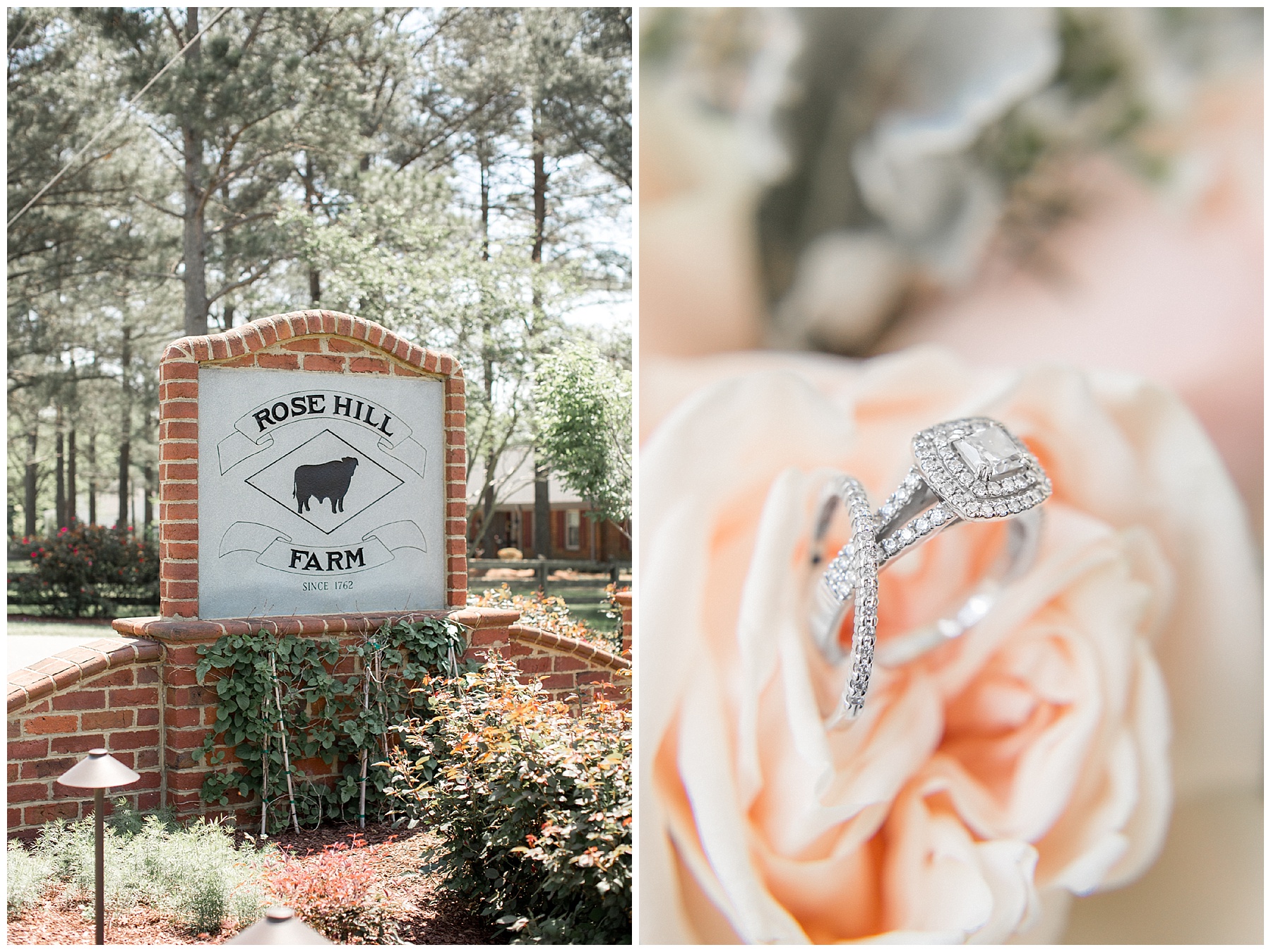 Rose Hill Plantation Nashville NC Wedding Tiffany L Johnson Photography
