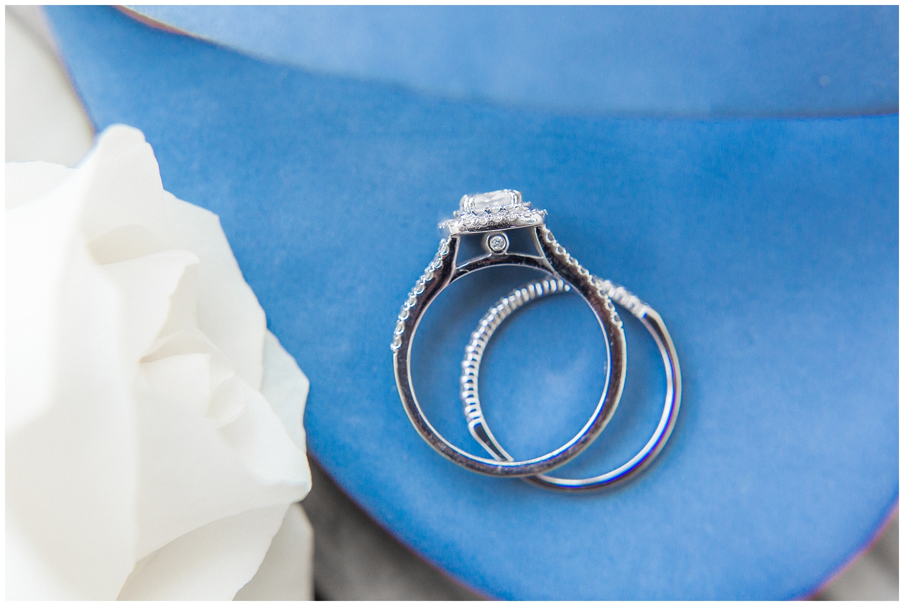 Rose Hill Plantation Nashville NC Wedding Tiffany L Johnson Photography