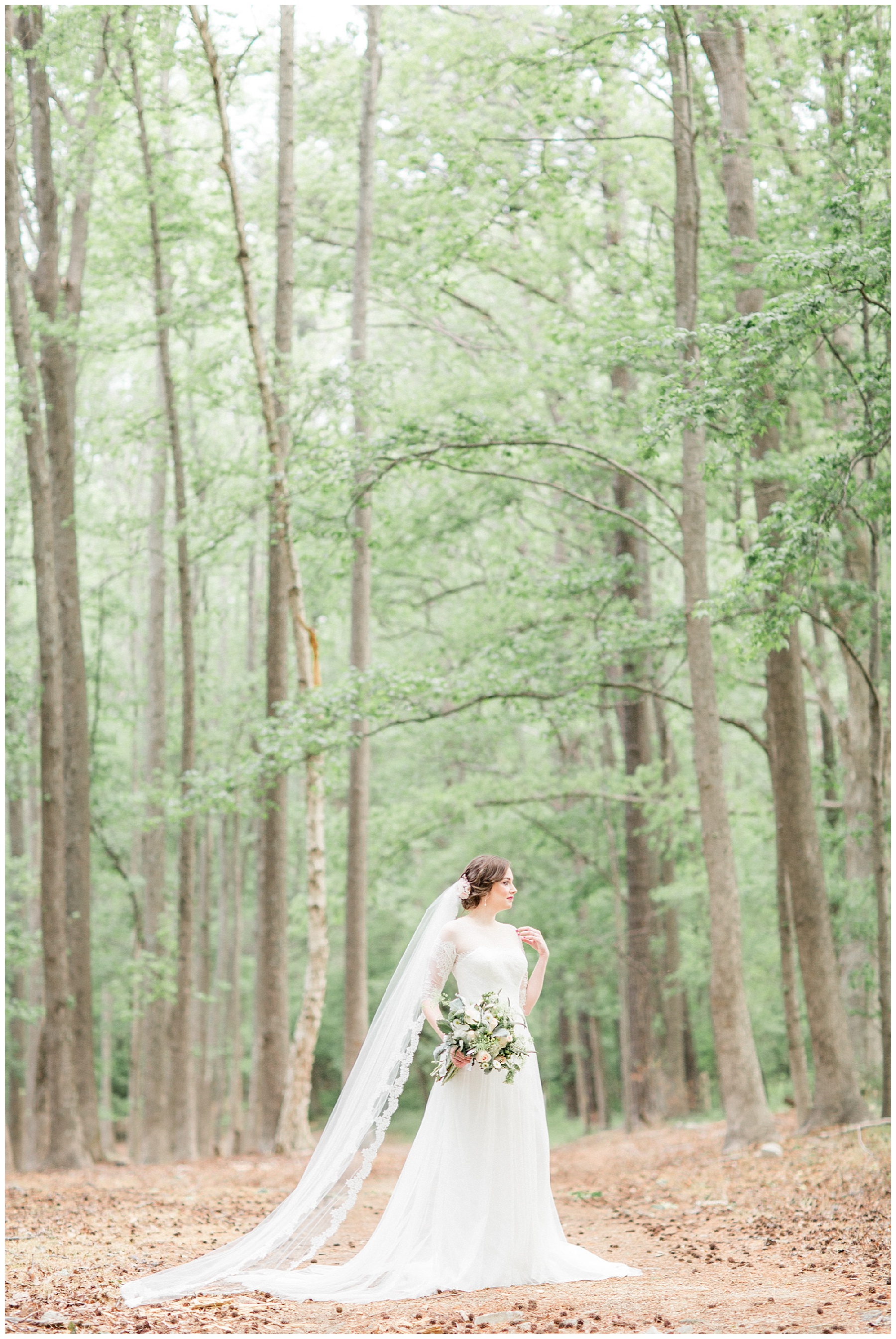 lake wilson nc bridal session tiffany l johnson_0001.jpg lake wilson nc bridal session tiffany l johnson_0001.jpg