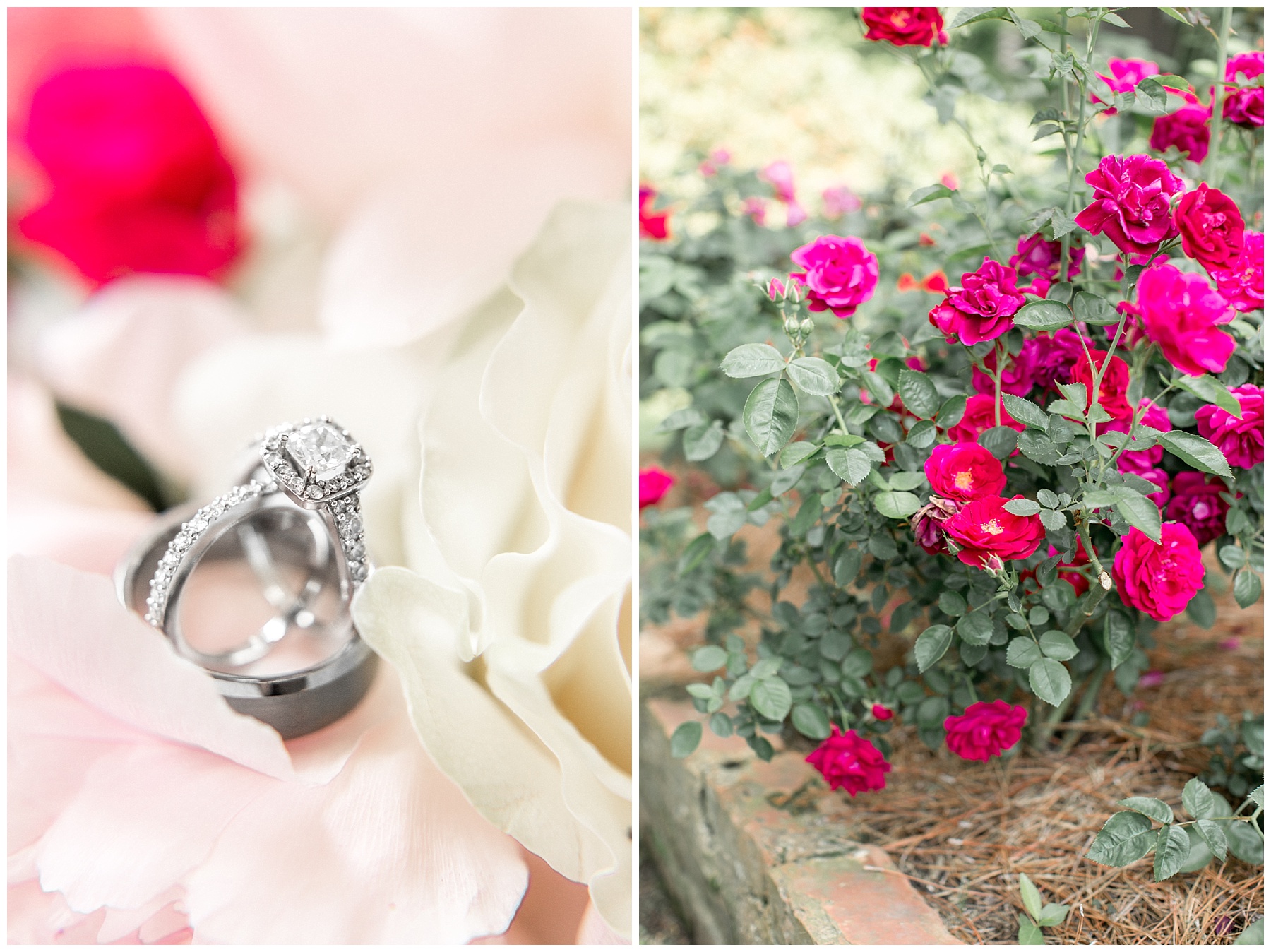 The Leaning Tree- Bailey NC -Wedding Day- Tiffany L Johnson_0005.jpg The Leaning Tree- Bailey NC -Wedding Day- Tiffany L Johnson_0005.jpg