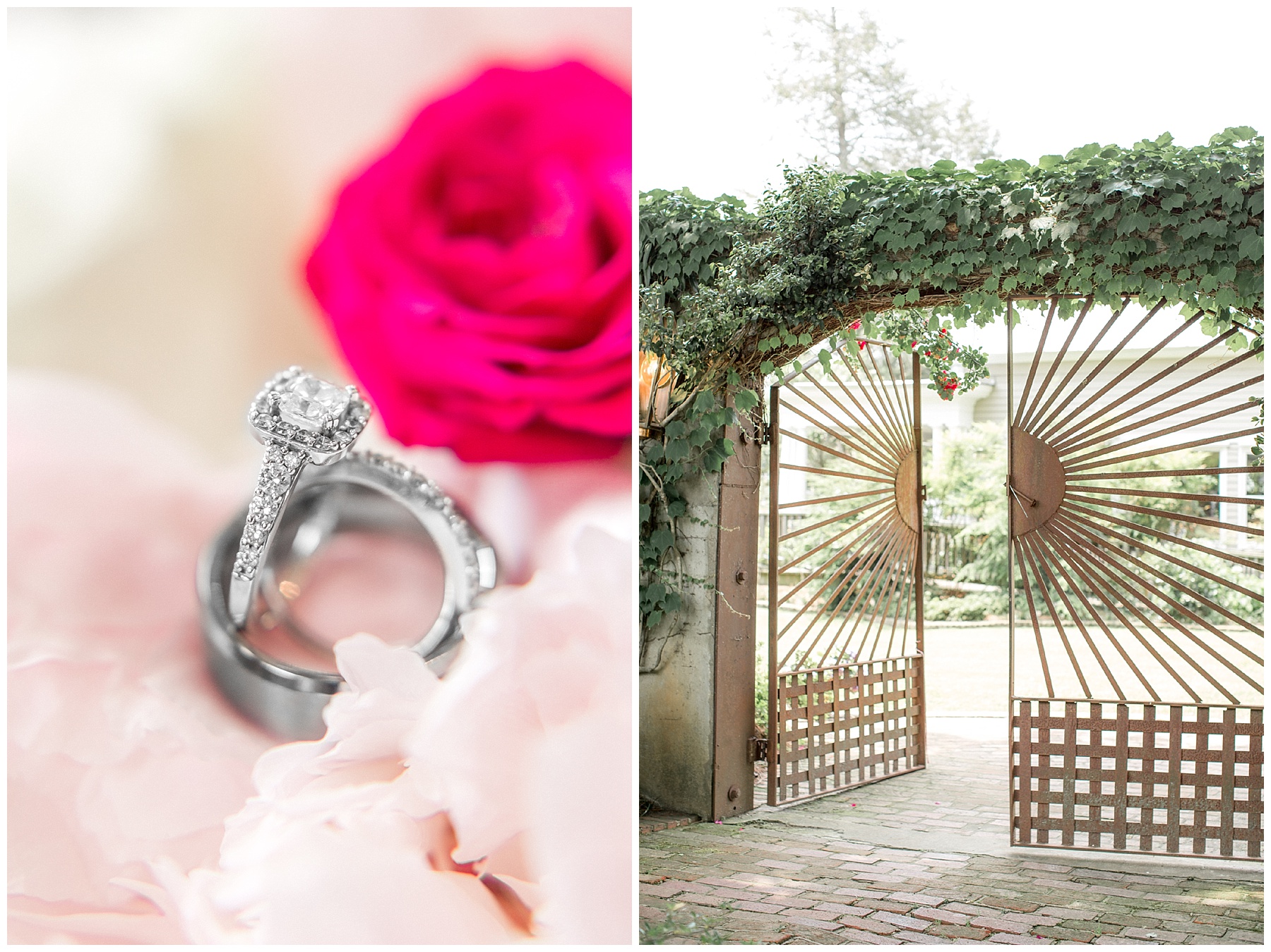 The Leaning Tree- Bailey NC -Wedding Day- Tiffany L Johnson_0010.jpg The Leaning Tree- Bailey NC -Wedding Day- Tiffany L Johnson_0010.jpg