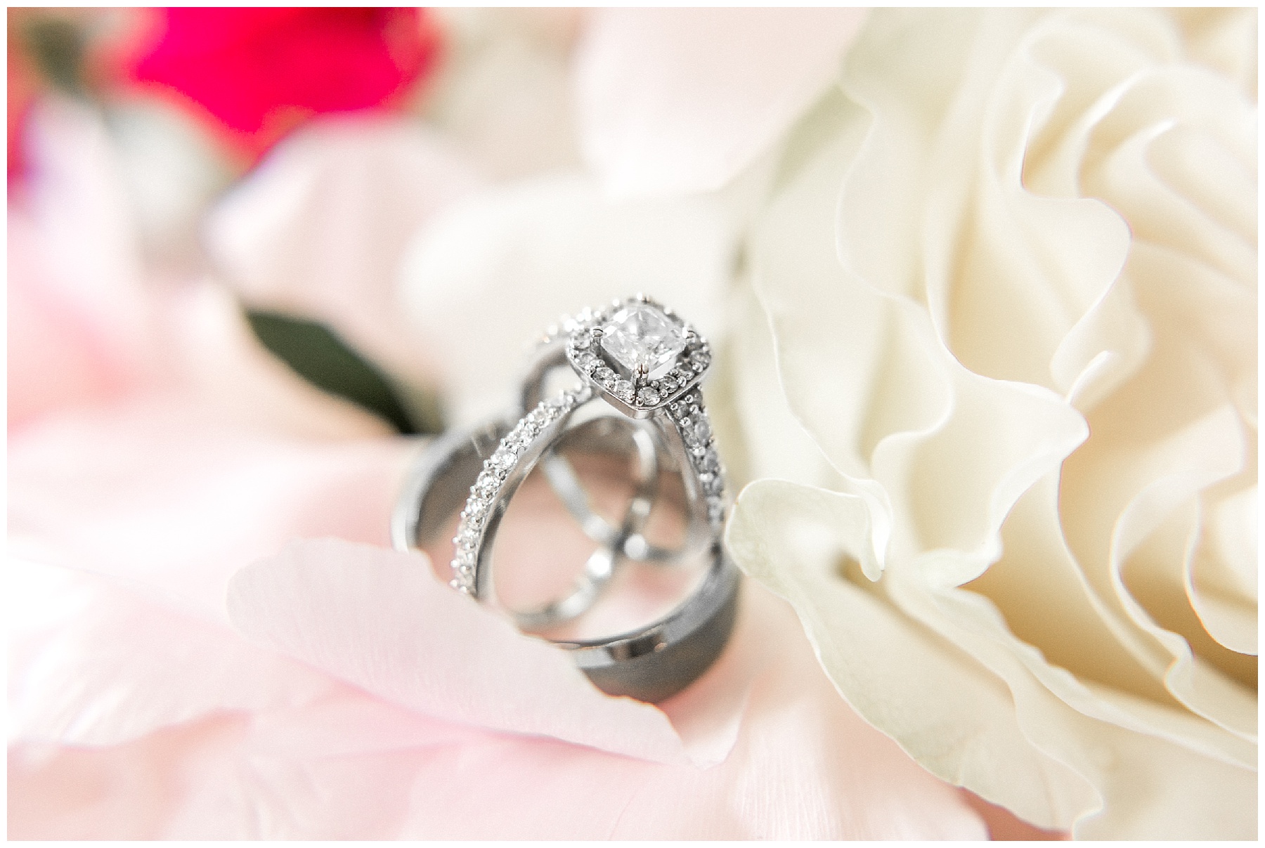 The Leaning Tree- Bailey NC -Wedding Day- Tiffany L Johnson_0013.jpg The Leaning Tree- Bailey NC -Wedding Day- Tiffany L Johnson_0013.jpg