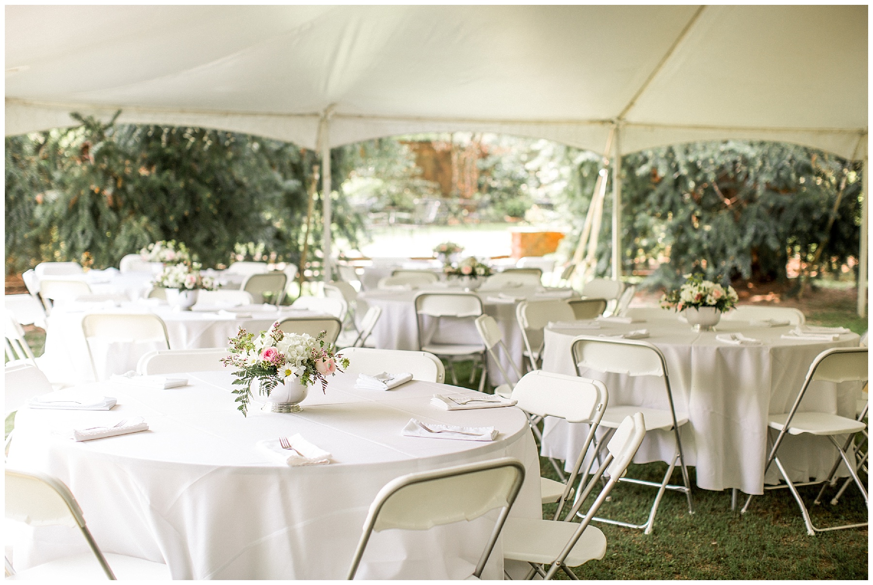 The Leaning Tree- Bailey NC -Wedding Day- Tiffany L Johnson_0134.jpg The Leaning Tree- Bailey NC -Wedding Day- Tiffany L Johnson_0134.jpg