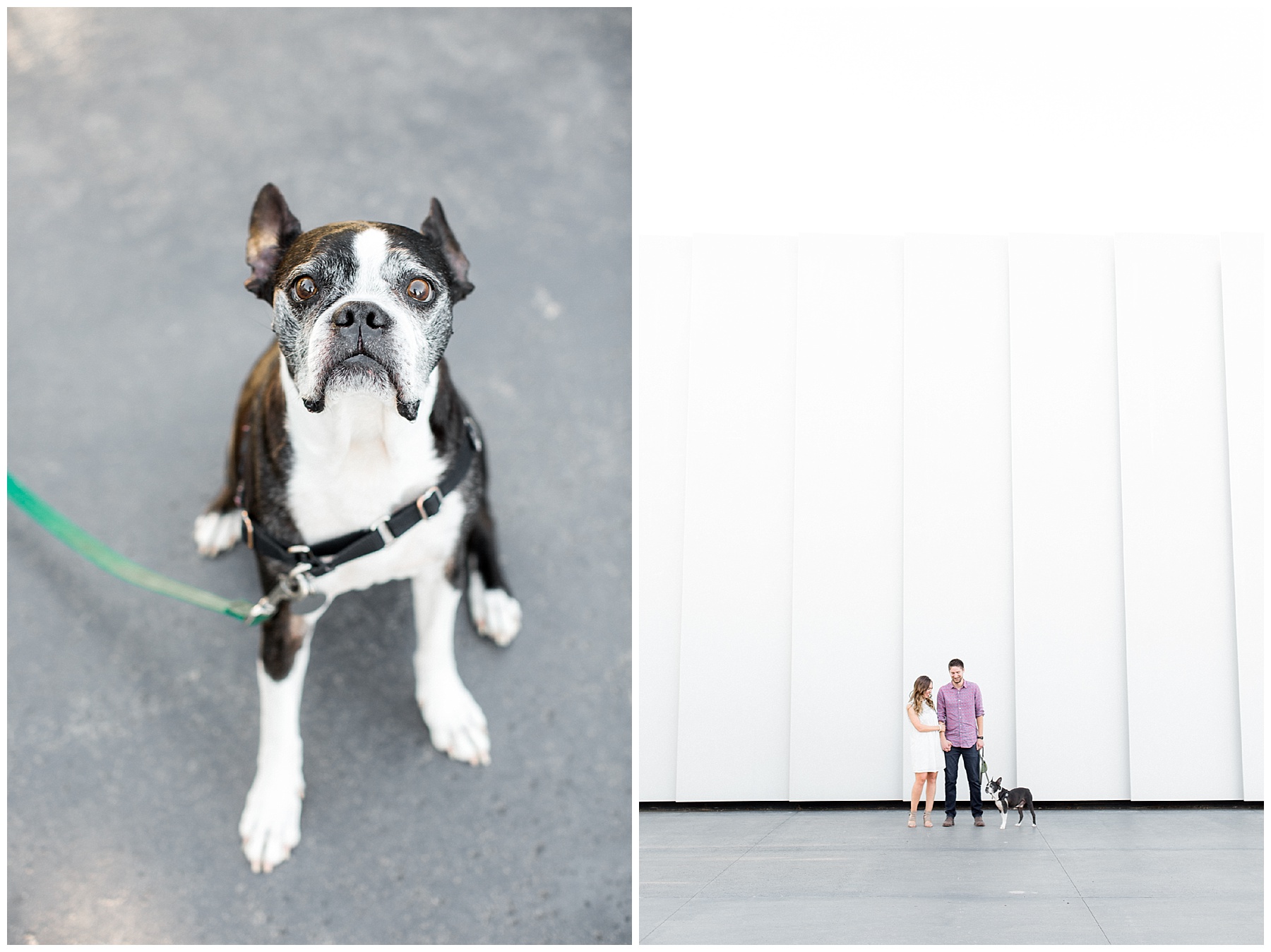 nc museum of art engagement session_0002.jpg nc museum of art engagement session_0002.jpg