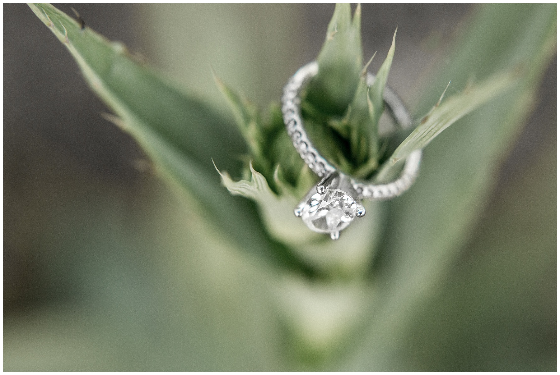 nc museum of art engagement session_0016.jpg nc museum of art engagement session_0016.jpg