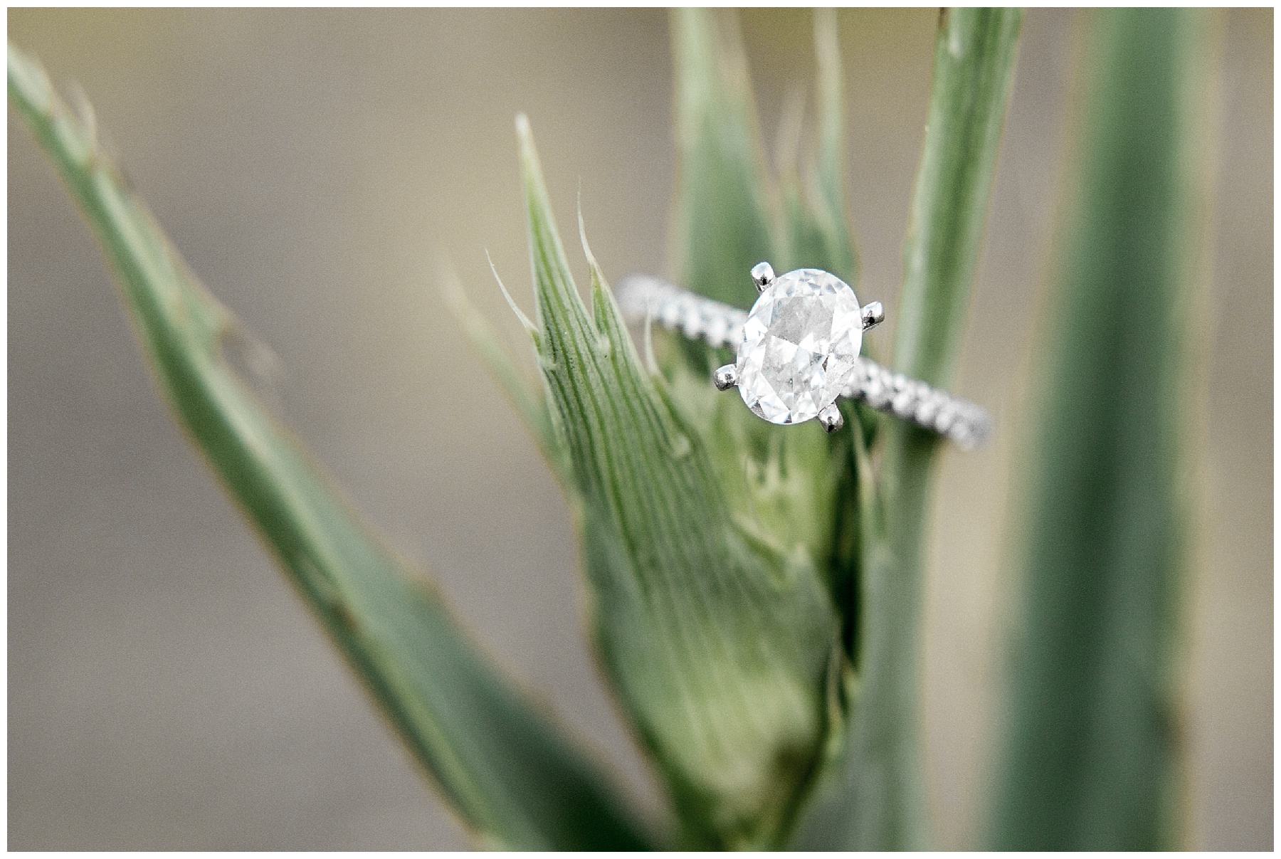 nc museum of art engagement session_0050.jpg nc museum of art engagement session_0050.jpg