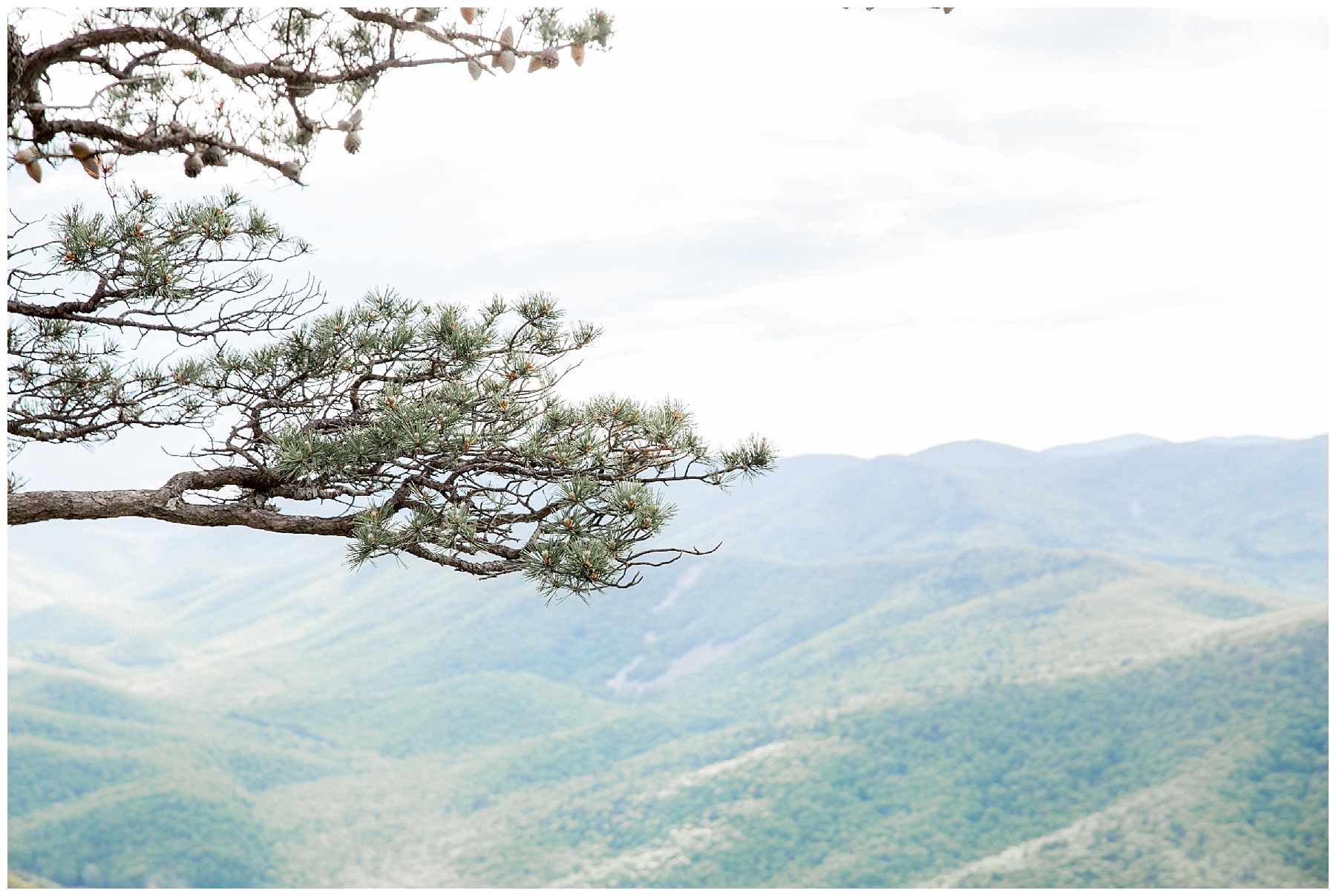 ravens roost-bridal portrait session-virgina bridal session-tiffany l johnson photography_0025.jpg