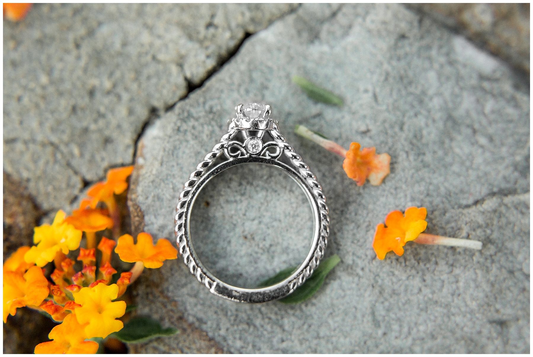 yates mill engagement session-raleigh nc-tiffany l johnson photography_0017.jpg yates mill engagement session-raleigh nc-tiffany l johnson photography_0017.jpg