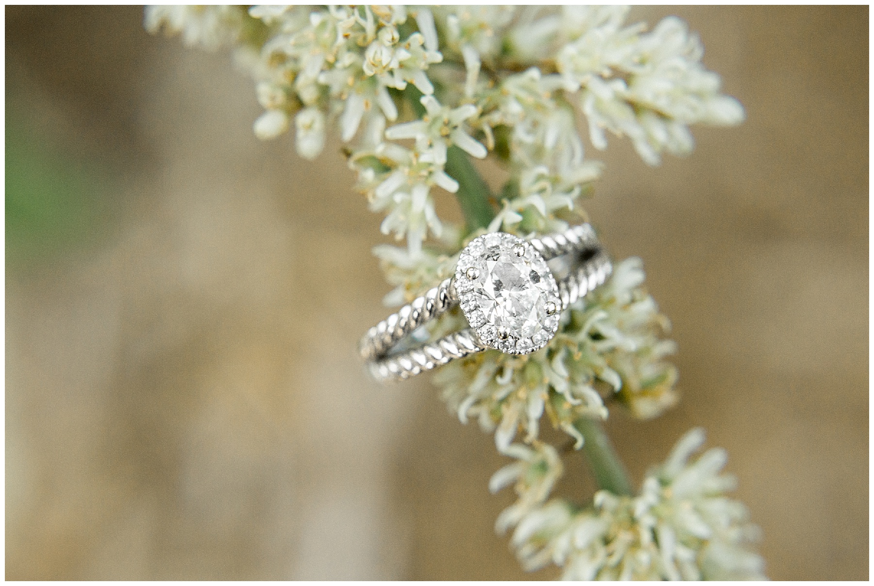 yates mill engagement session-raleigh nc-tiffany l johnson photography_0041.jpg yates mill engagement session-raleigh nc-tiffany l johnson photography_0041.jpg