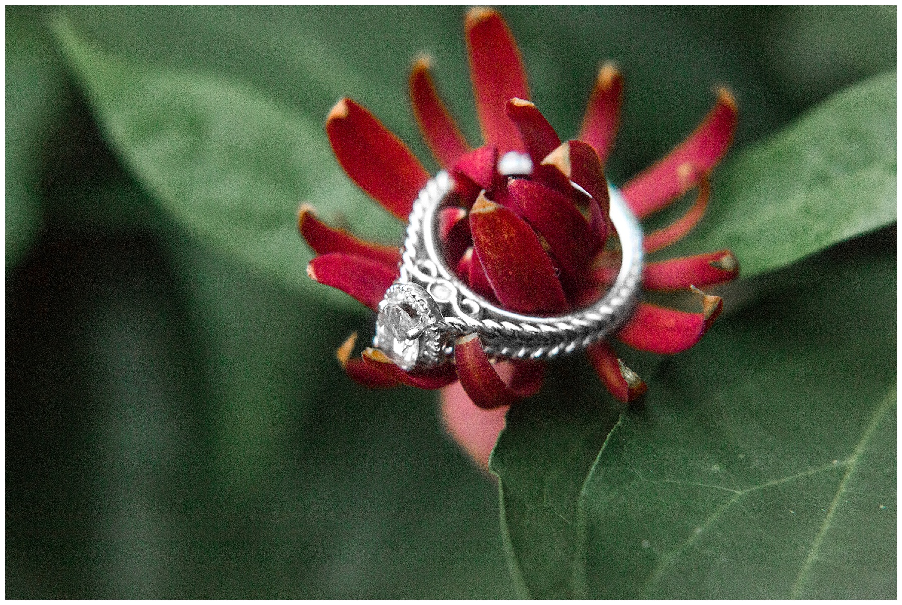 yates mill engagement session-raleigh nc-tiffany l johnson photography_0043.jpg yates mill engagement session-raleigh nc-tiffany l johnson photography_0043.jpg