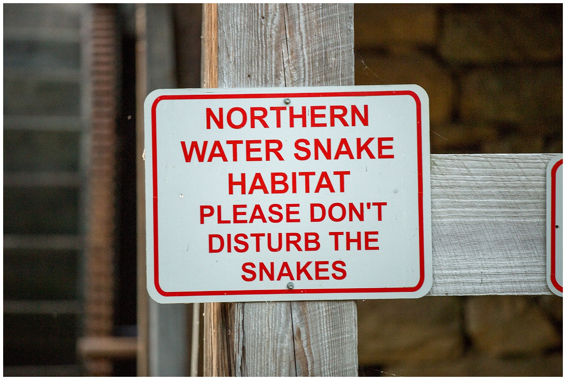 yates mill engagement session-raleigh nc-tiffany l johnson photography_0045.jpg yates mill engagement session-raleigh nc-tiffany l johnson photography_0045.jpg