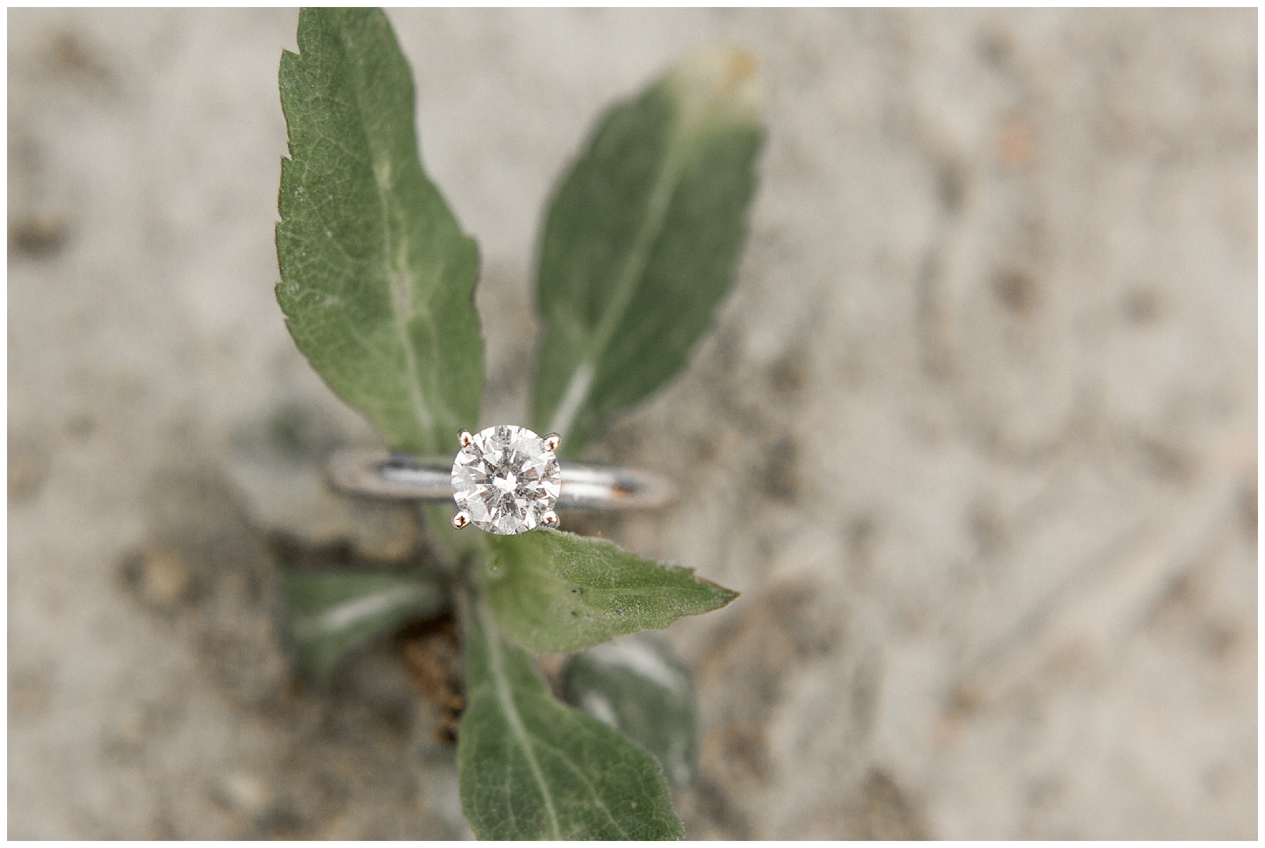fire station engagement session-goldsboro nc_0016.jpg