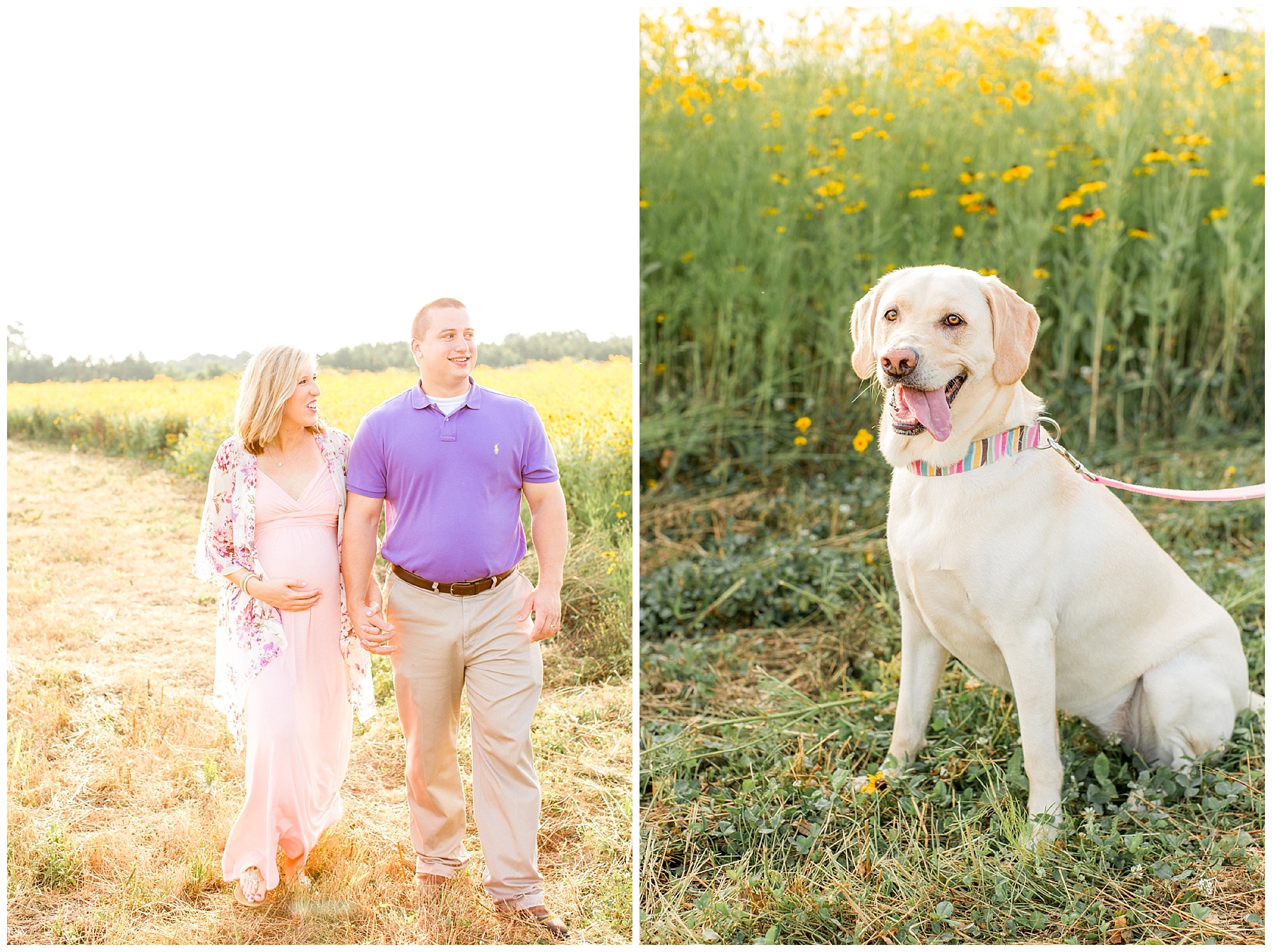 flower field maternity session - wilson nc - tiffany l johnson photography_0044.jpg flower field maternity session - wilson nc - tiffany l johnson photography_0044.jpg