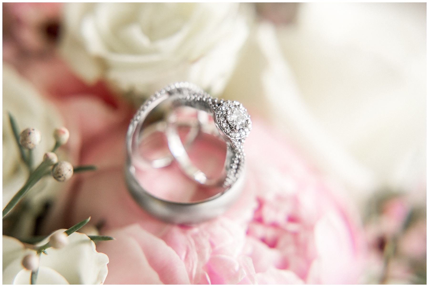 wilson north carolina wedding - buckhorn wedding - tiffany l johnson photography_0004.jpg wilson north carolina wedding - buckhorn wedding - tiffany l johnson photography_0004.jpg