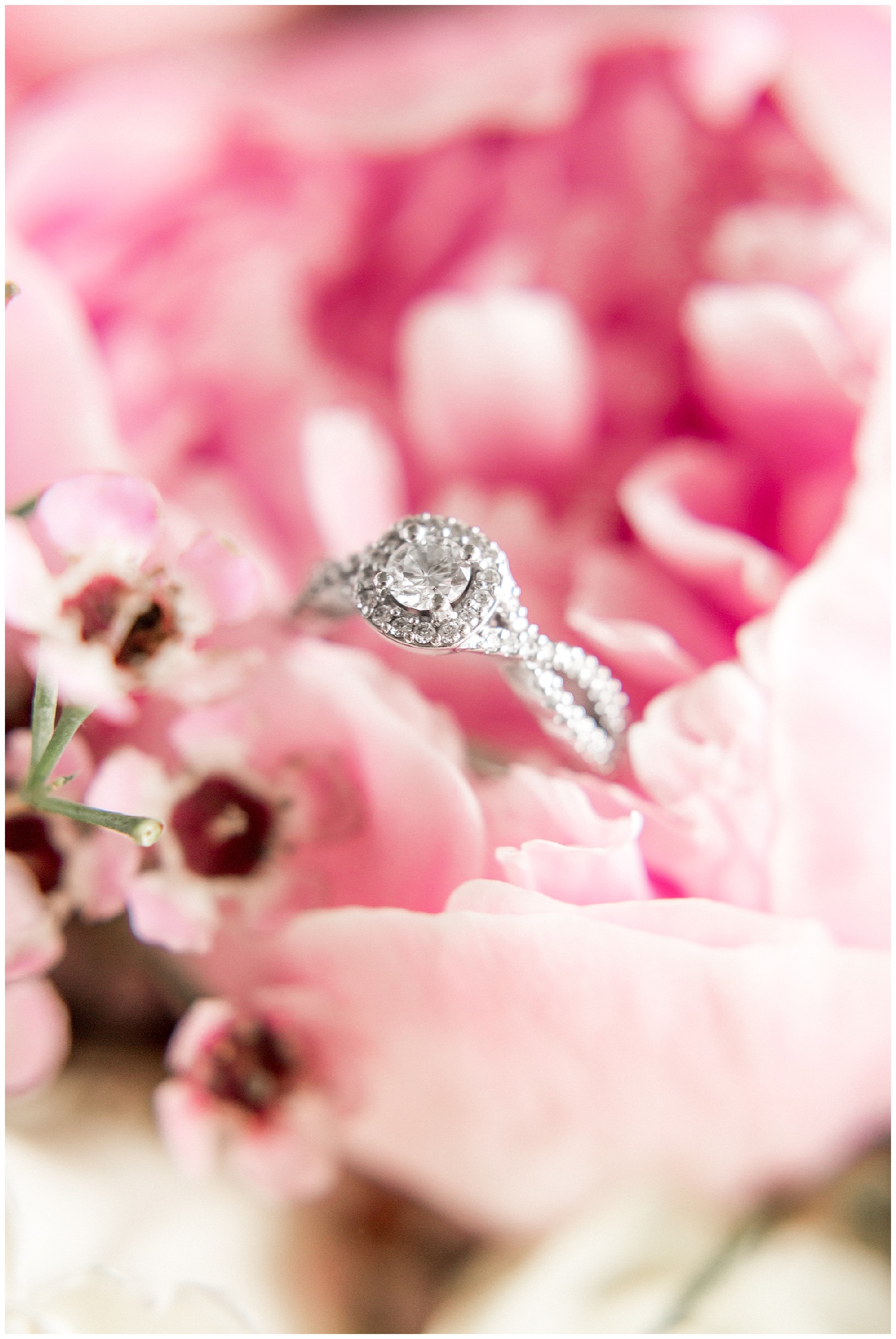 wilson north carolina wedding - buckhorn wedding - tiffany l johnson photography_0014.jpg wilson north carolina wedding - buckhorn wedding - tiffany l johnson photography_0014.jpg