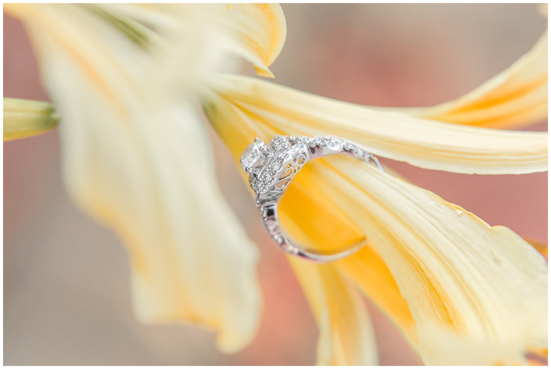 joyner park engagement session-raleigh nc-tiffany l johnson photography_0008.jpg
