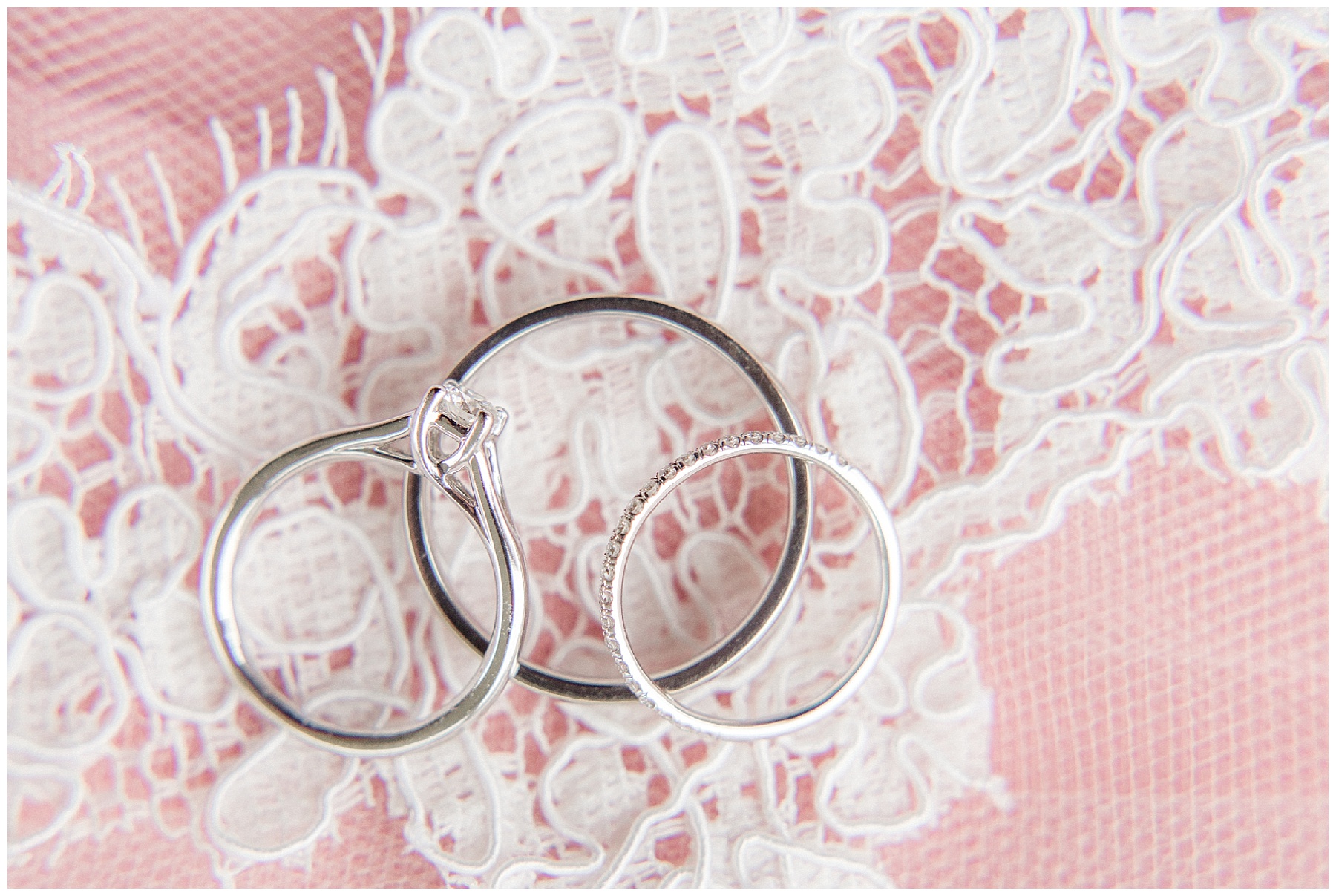 wilson nc wedding photography-tiffany l johnson photography_0004.jpg wilson nc wedding photography-tiffany l johnson photography_0004.jpg