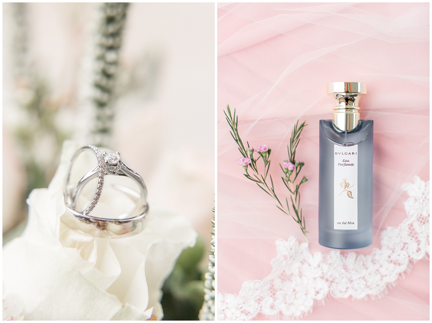 wilson nc wedding photography-tiffany l johnson photography_0005.jpg wilson nc wedding photography-tiffany l johnson photography_0005.jpg