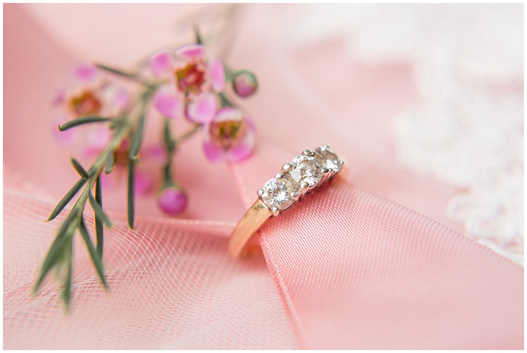 wilson nc wedding photography-tiffany l johnson photography_0009.jpg wilson nc wedding photography-tiffany l johnson photography_0009.jpg