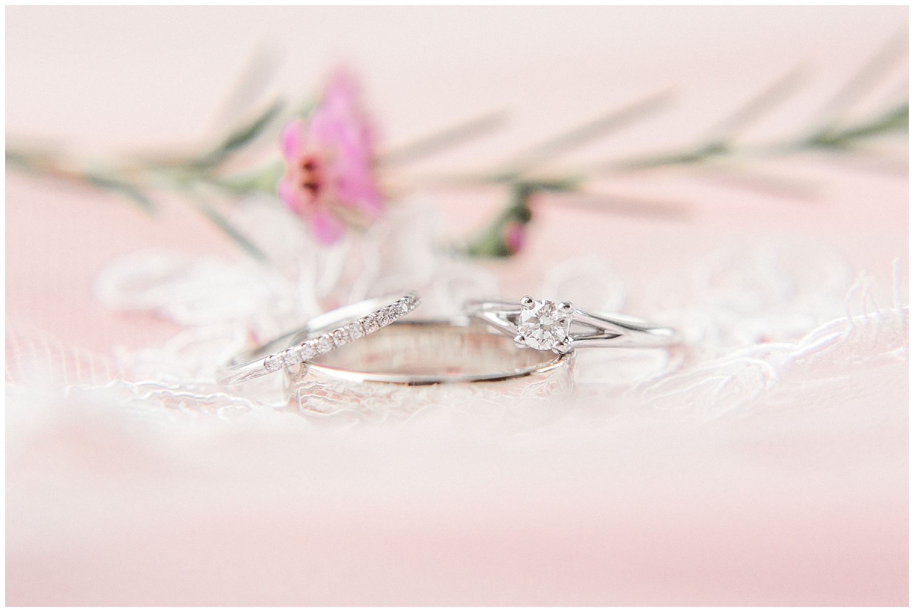 wilson nc wedding photography-tiffany l johnson photography_0011.jpg wilson nc wedding photography-tiffany l johnson photography_0011.jpg