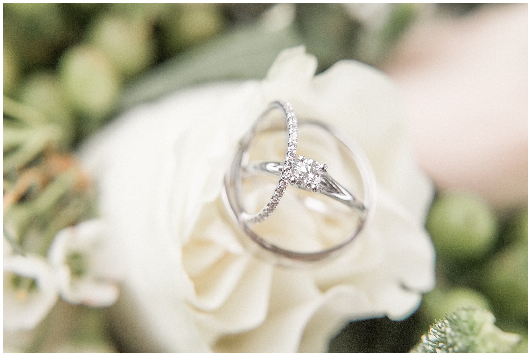 wilson nc wedding photography-tiffany l johnson photography_0012.jpg wilson nc wedding photography-tiffany l johnson photography_0012.jpg