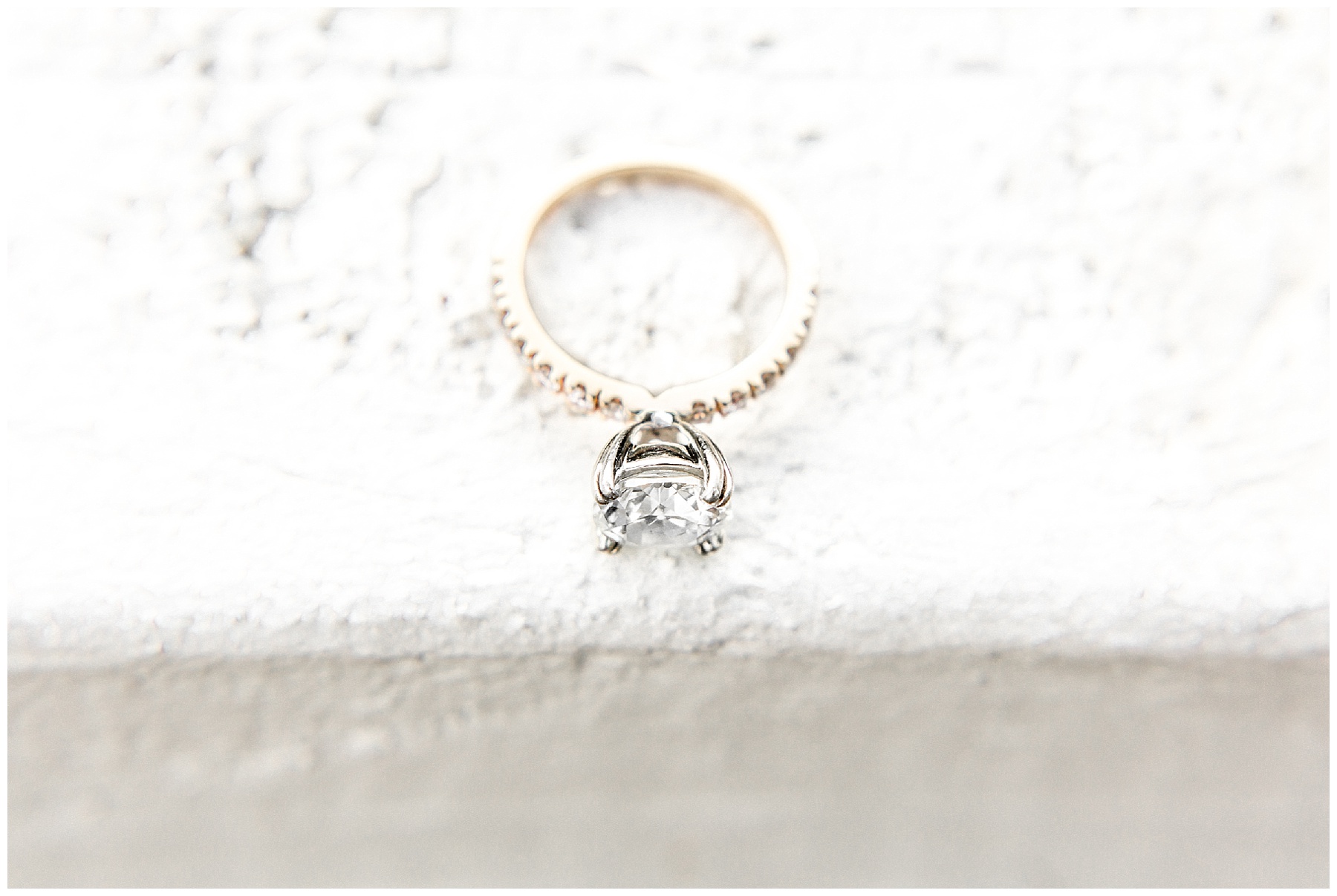 Historic oak engagement session-raleigh nc-raleigh engagement session-tiffany l johnson_0011.jpg Historic oak engagement session-raleigh nc-raleigh engagement session-tiffany l johnson_0011.jpg