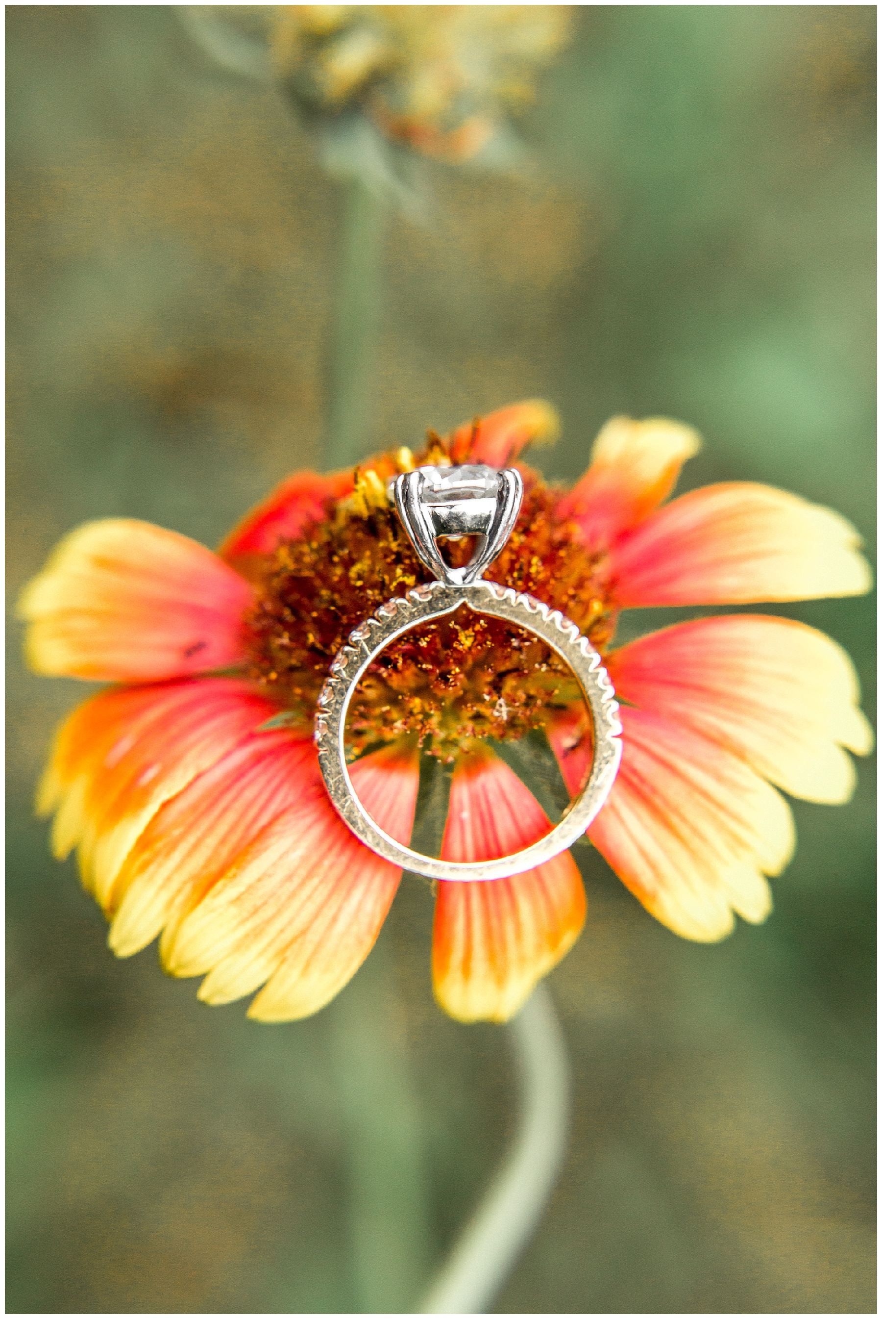 Historic oak engagement session-raleigh nc-raleigh engagement session-tiffany l johnson_0021.jpg Historic oak engagement session-raleigh nc-raleigh engagement session-tiffany l johnson_0021.jpg