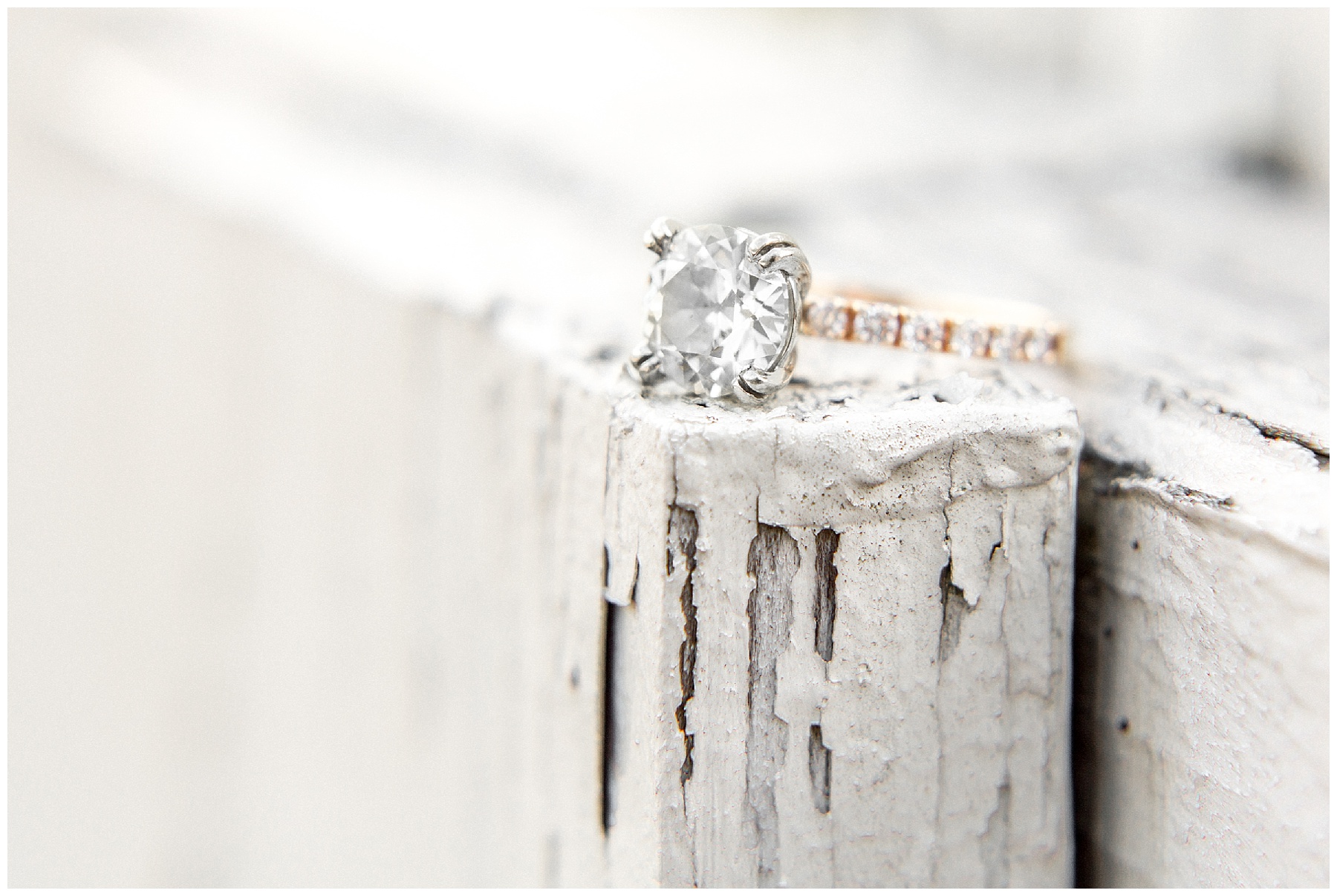 Historic oak engagement session-raleigh nc-raleigh engagement session-tiffany l johnson_0037.jpg Historic oak engagement session-raleigh nc-raleigh engagement session-tiffany l johnson_0037.jpg