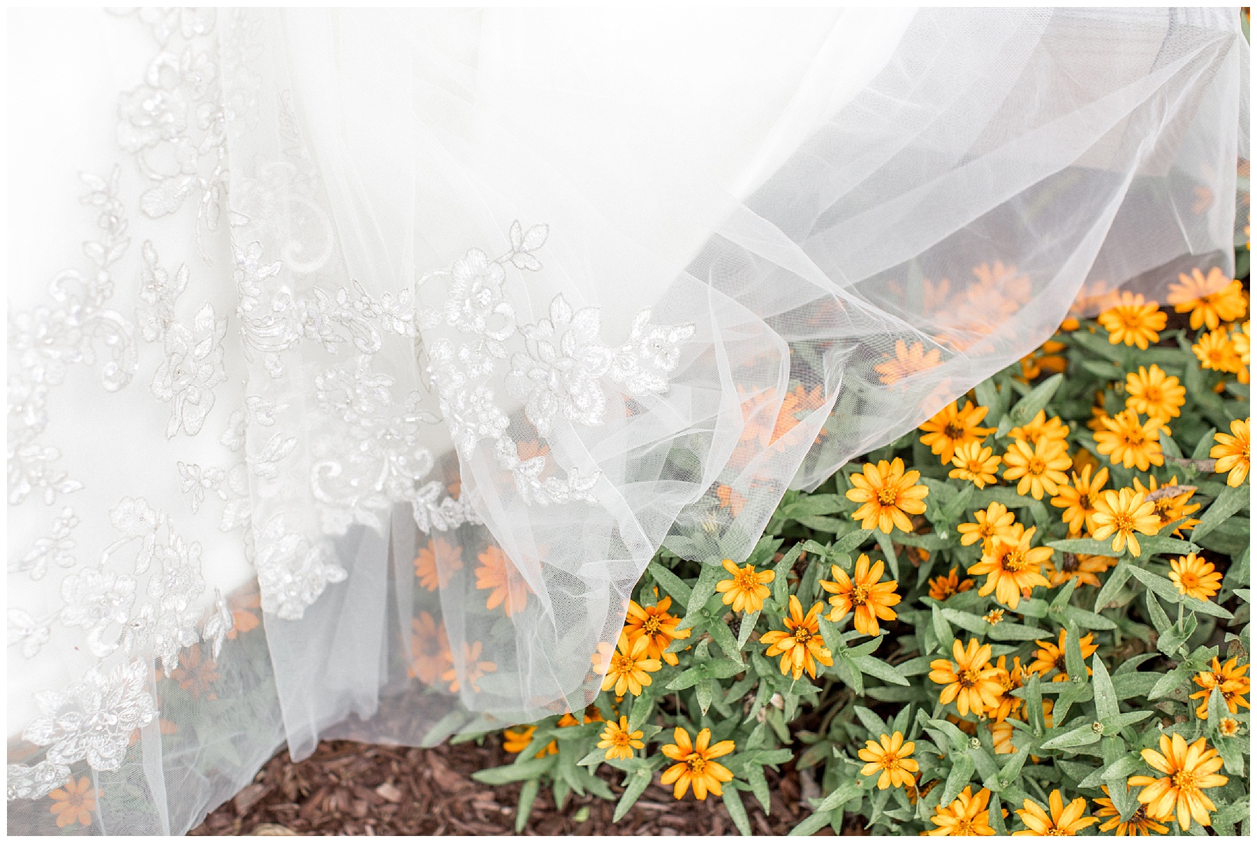 Rose garden bridal session-wilson nc-tiffany l johnson photography_0022.jpg