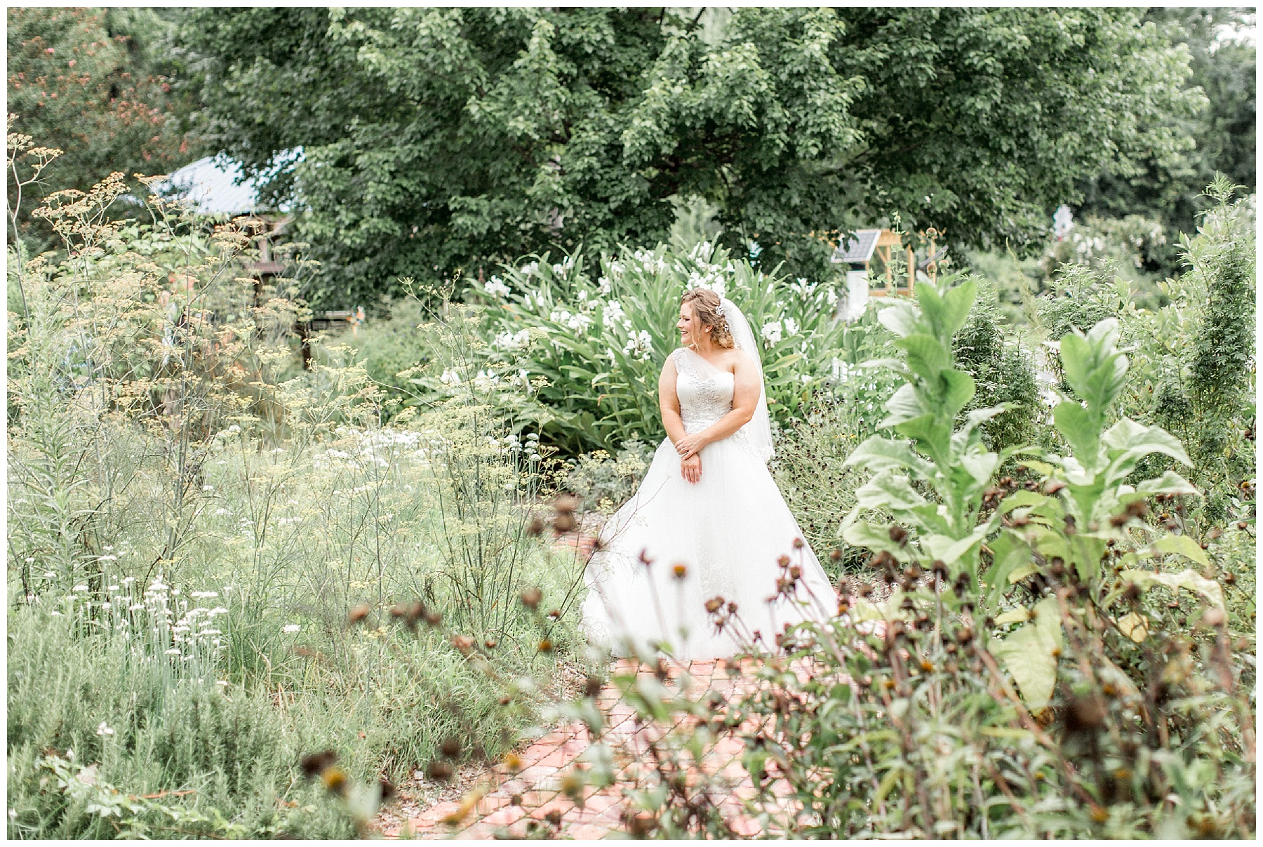 Rose garden bridal session-wilson nc-tiffany l johnson photography_0027.jpg
