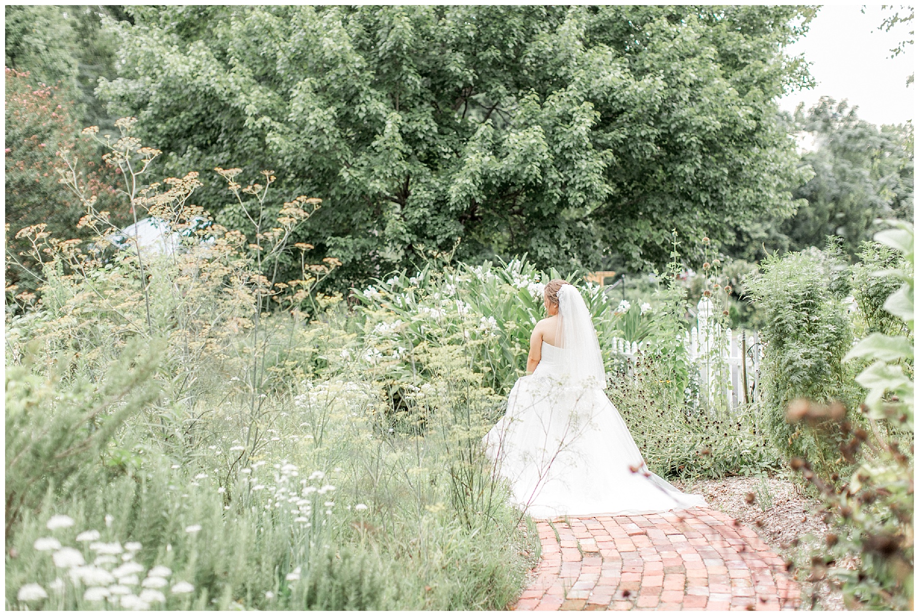 Rose garden bridal session-wilson nc-tiffany l johnson photography_0032.jpg
