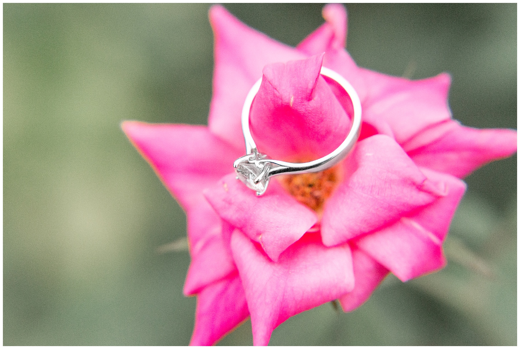 clayton nc engagement session-clayton nc-engagement session -tiffany l johnson photography_0002.jpg