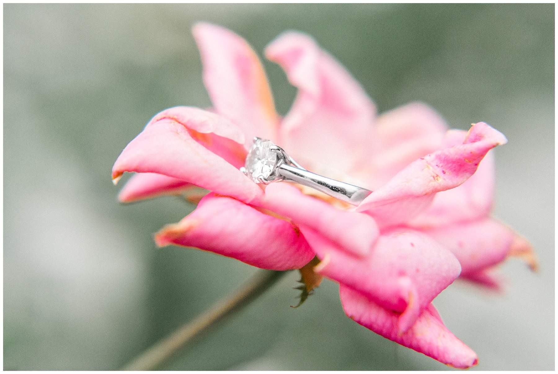 clayton nc engagement session-clayton nc-engagement session -tiffany l johnson photography_0016.jpg