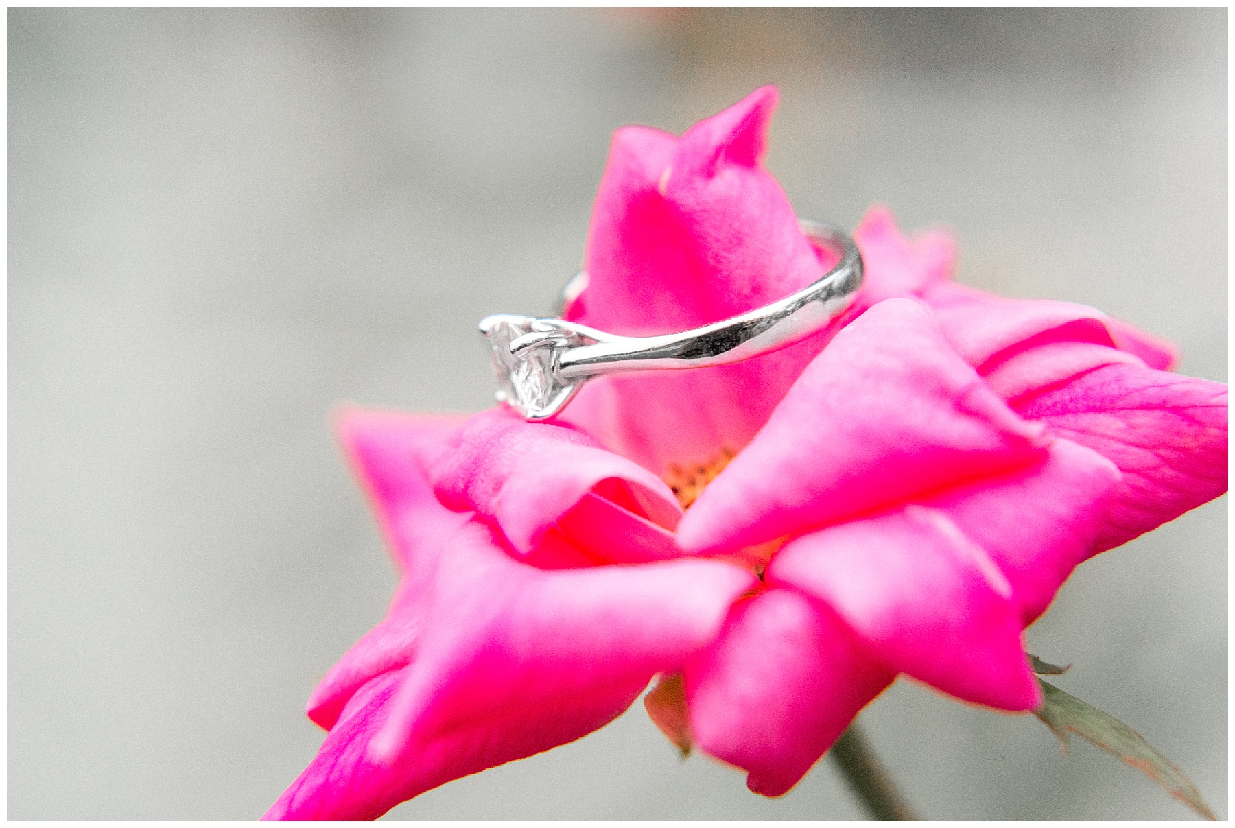 clayton nc engagement session-clayton nc-engagement session -tiffany l johnson photography_0038.jpg